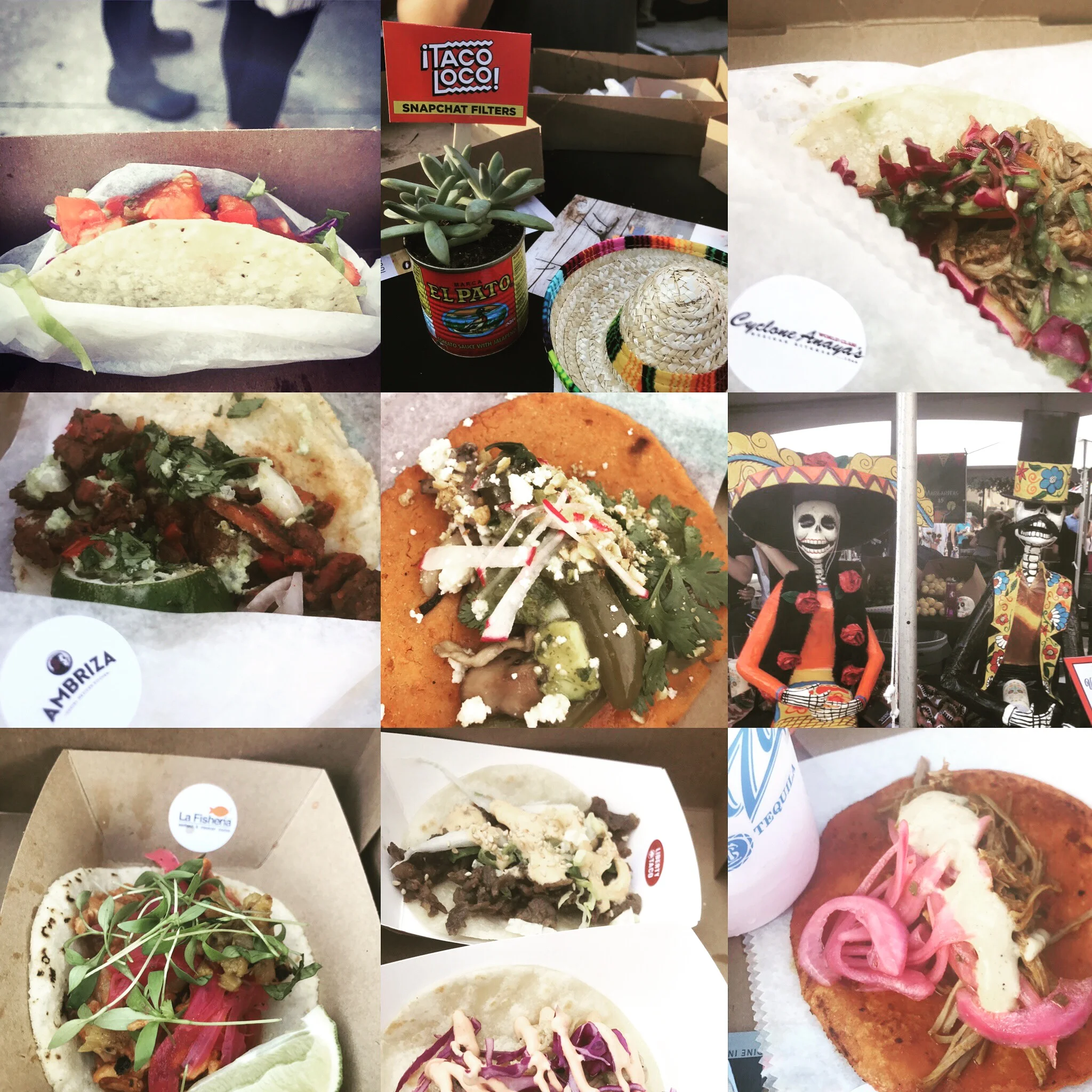 Taco Loco: The Ultimate Taco Tuesday