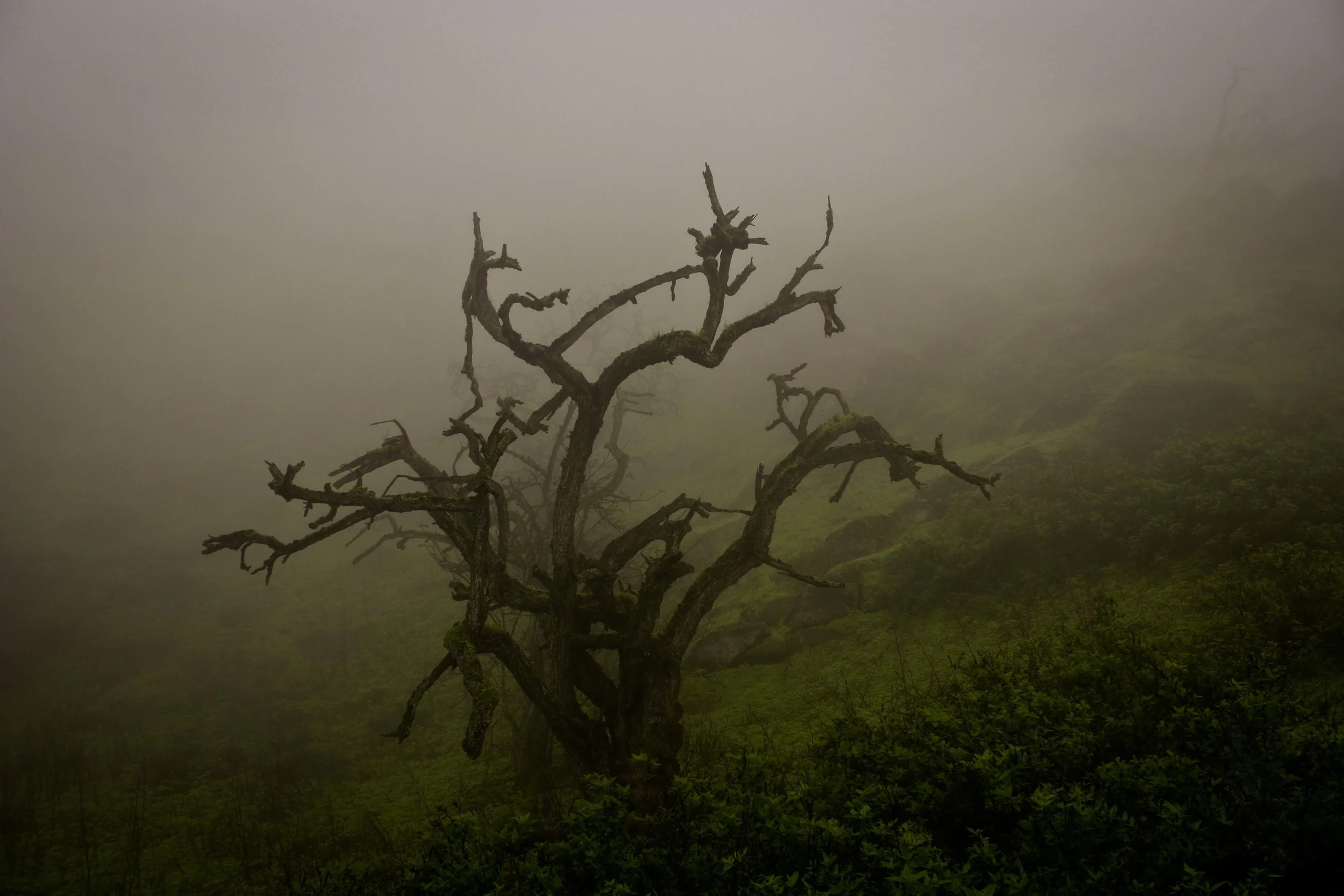 fcd01b_32804e56b327b6f36c12a767169d941b.jpg