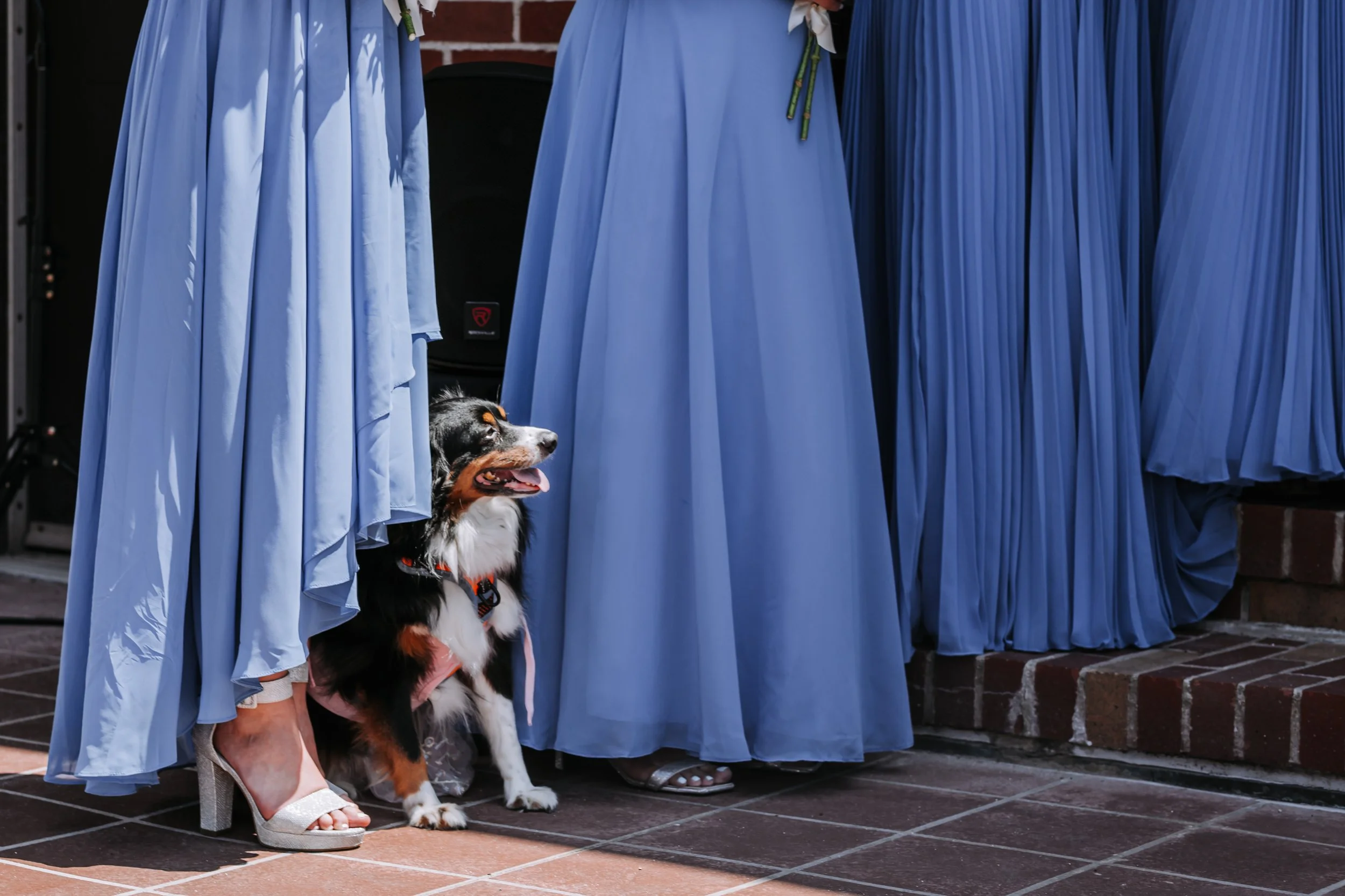 lonf island wedding photogrpaher98.jpg