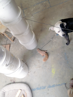 Ricki is not a very hard worker, but she is still a very good assistant.