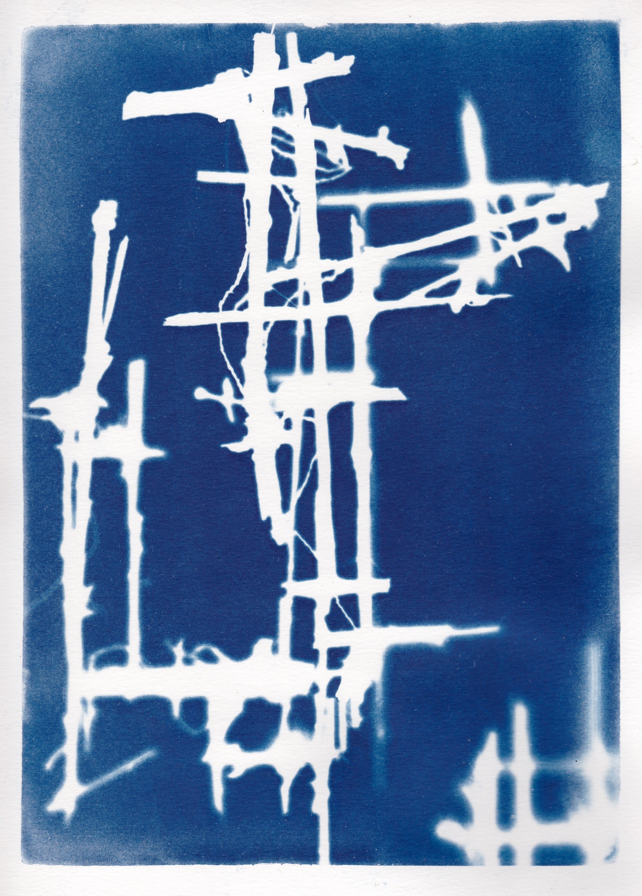 Untitled Cyanotype 11"x14" 2019