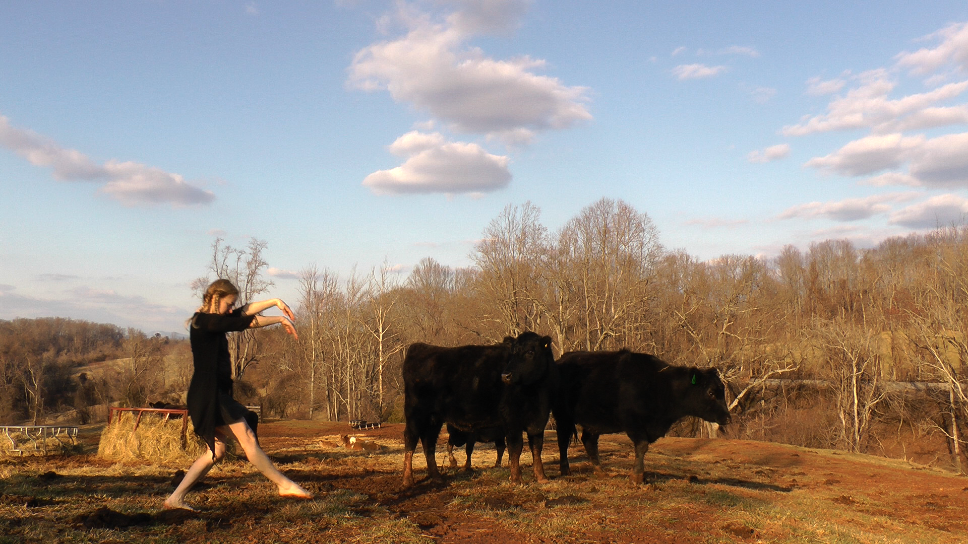 Cow SW 12step.png