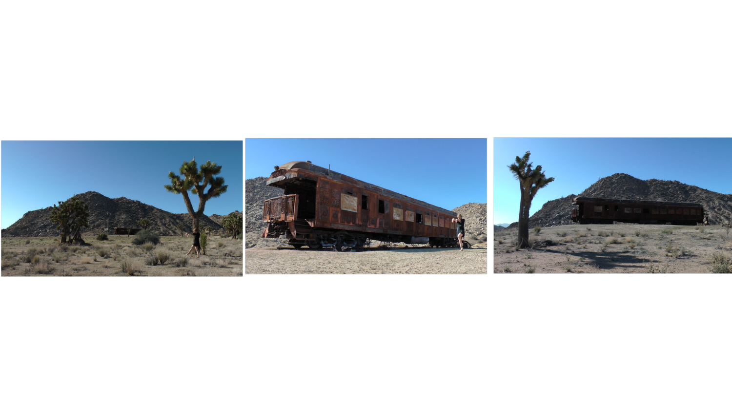 caboose+3+size+shots.png
