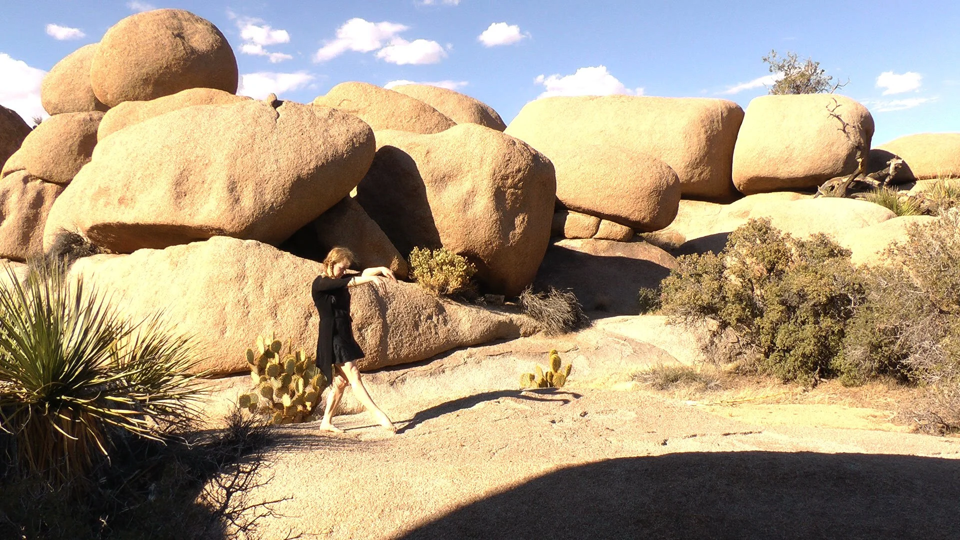 Sleepwalker in Joshua Tree.jpg