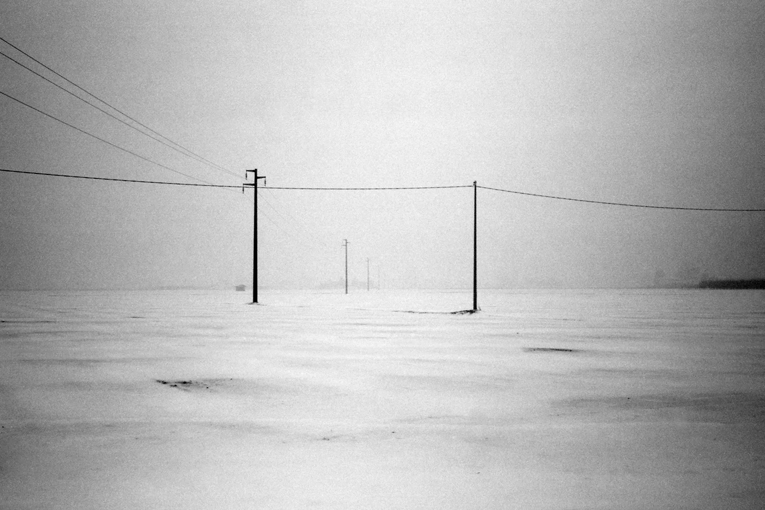 Snowy landscape