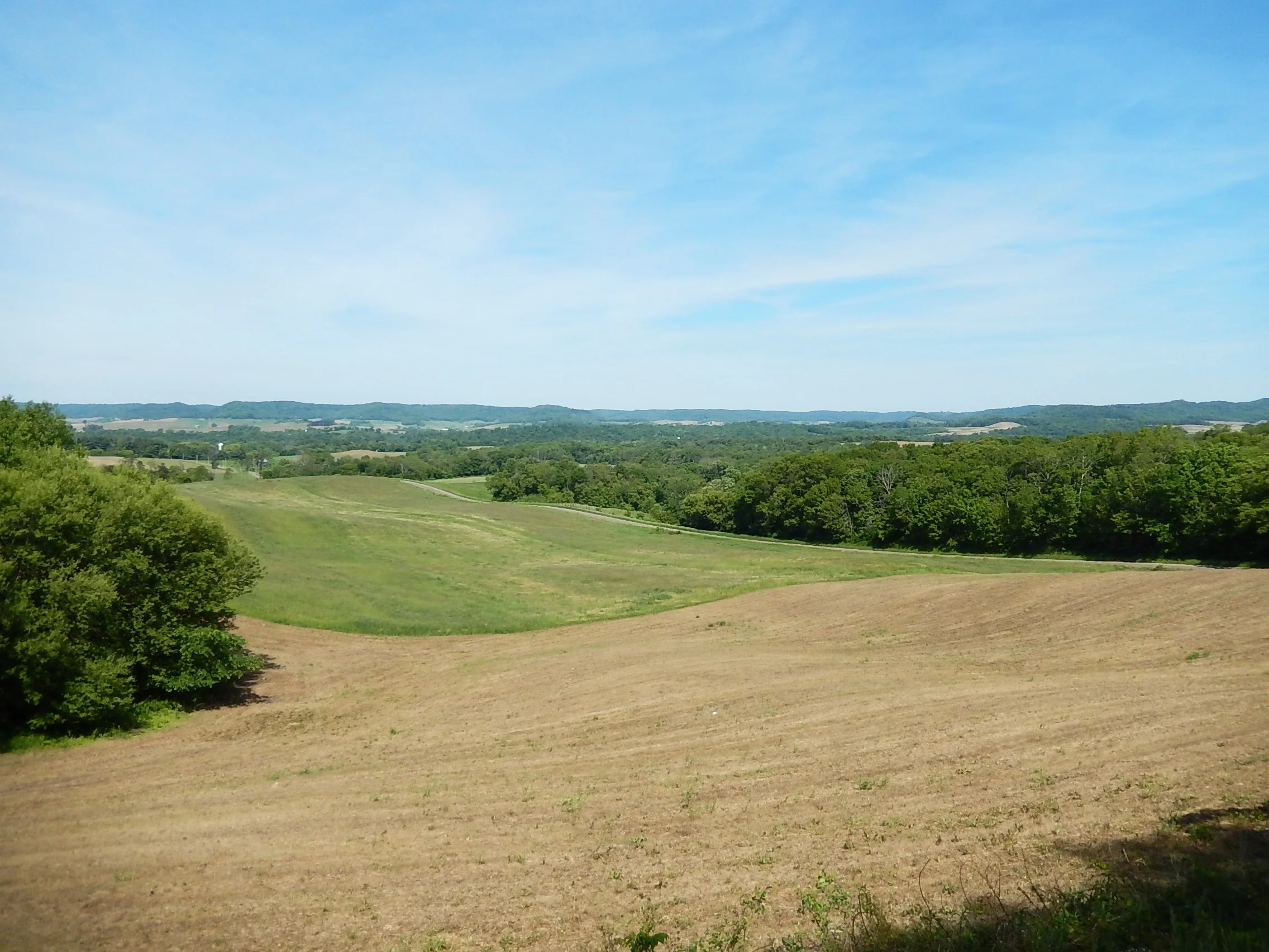 DSCN0560.JPG