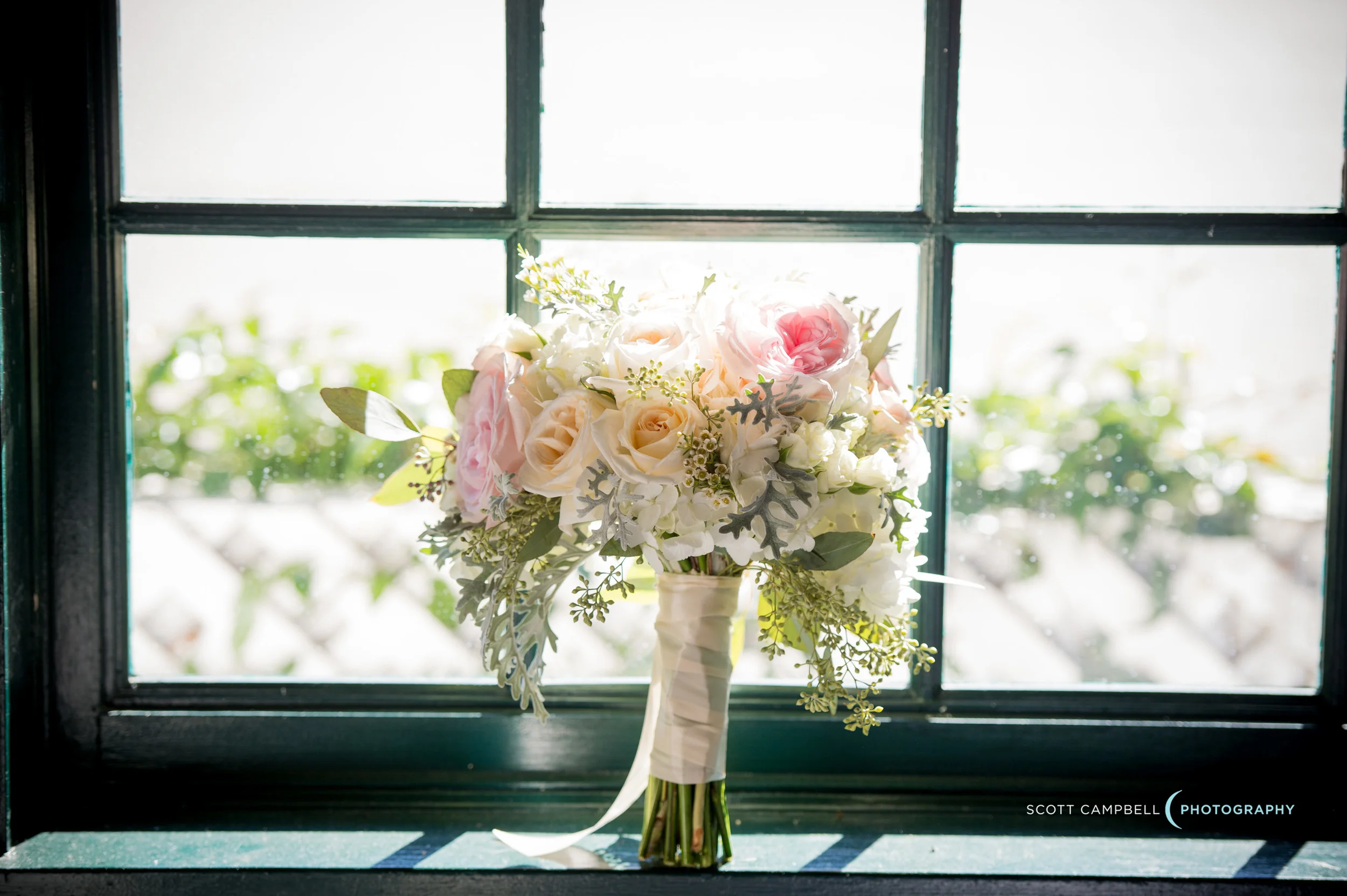 scottcampbellphoto-003.jpg