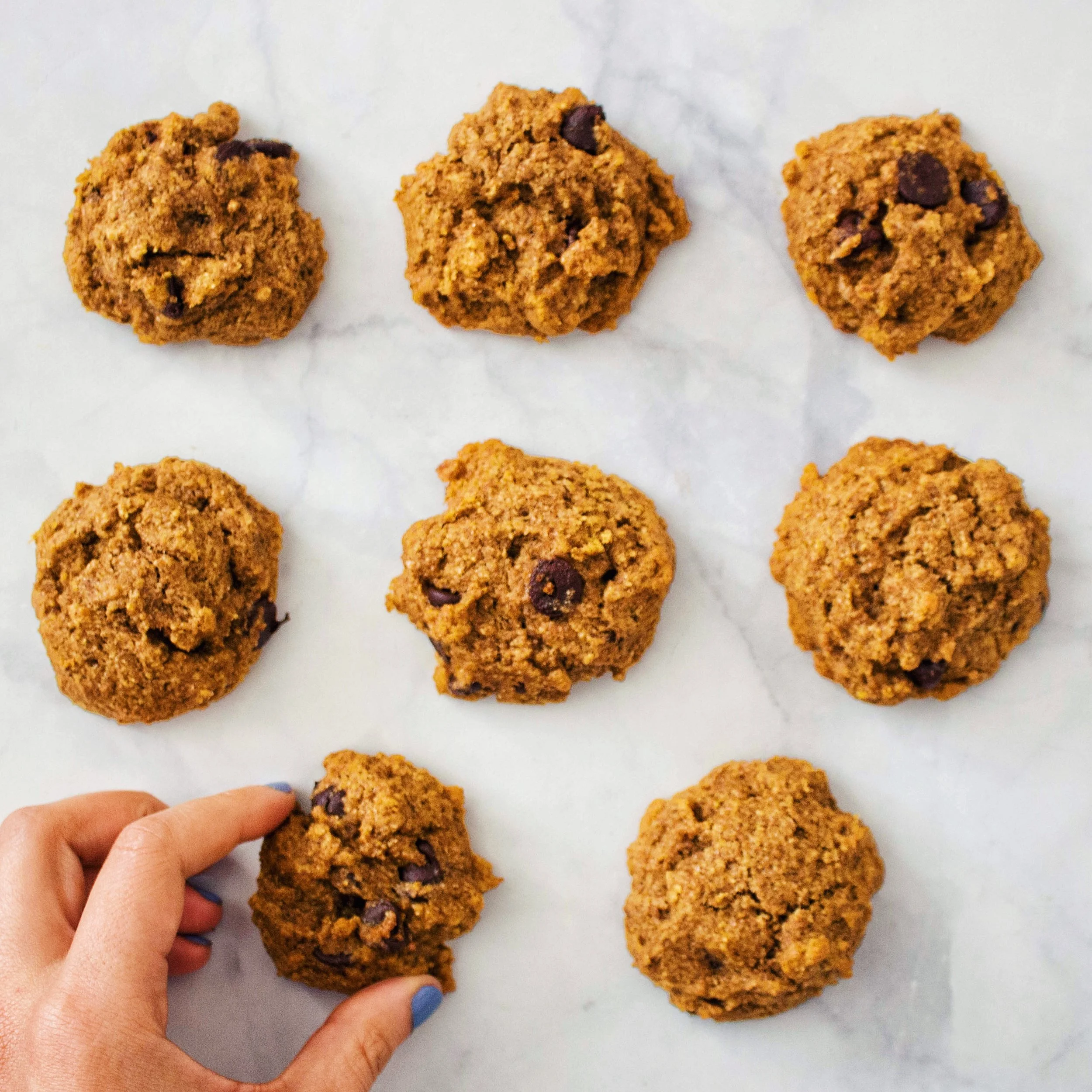Pumpkin Chocolate Chip Cookies