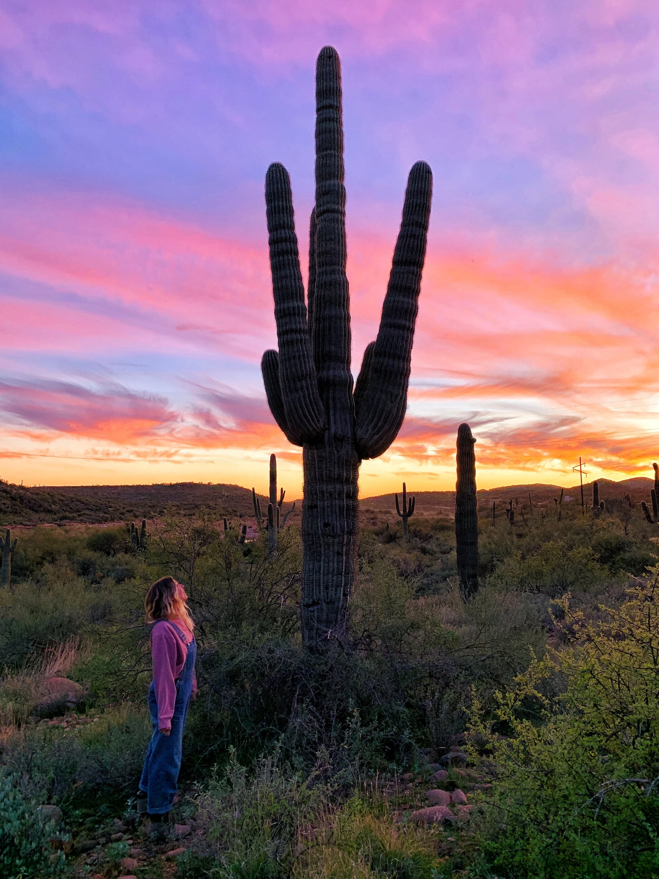 My Favorite Places To Eat &amp; Stay On My Cross Country Road Trip