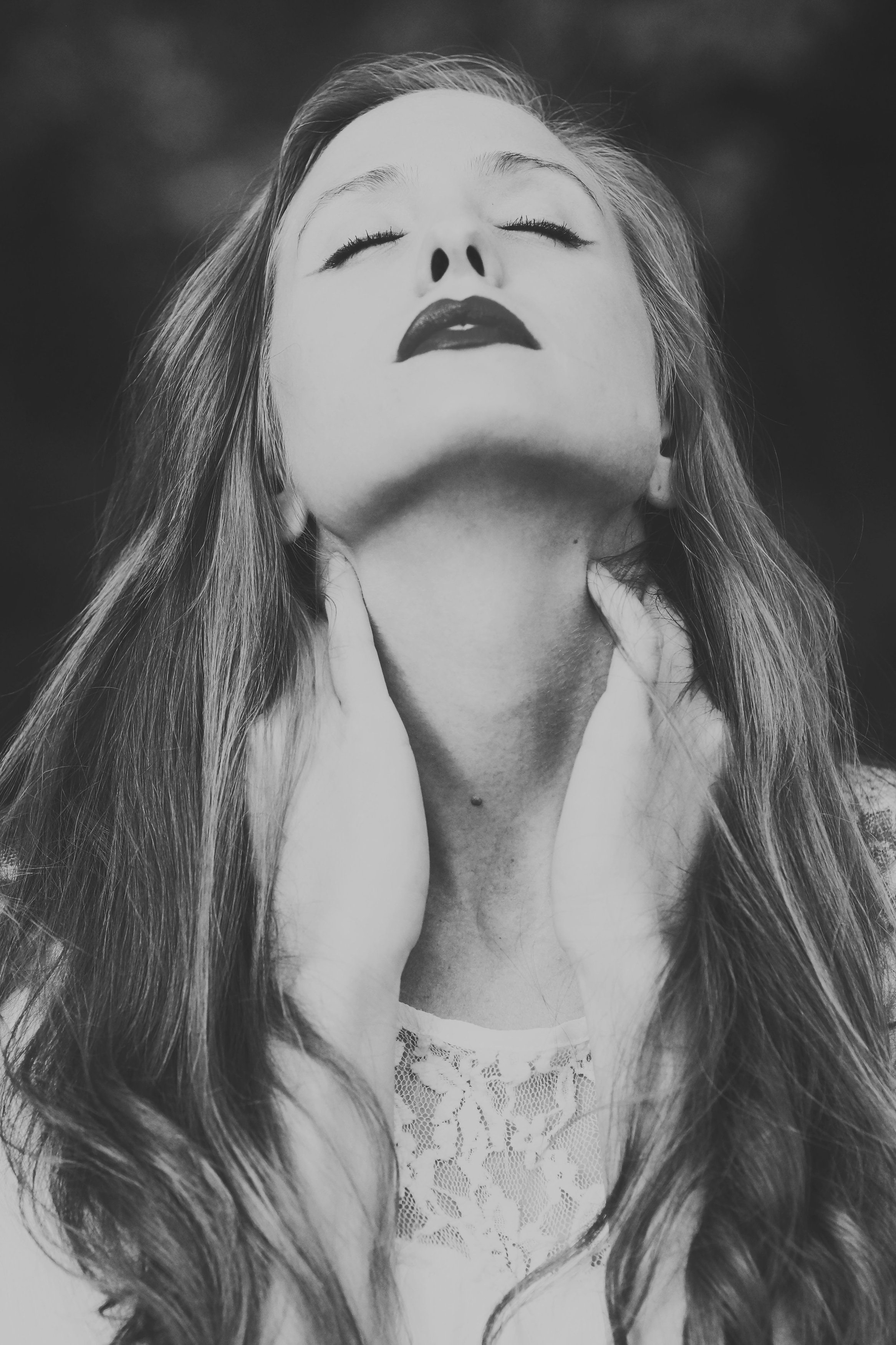 Fall 2014