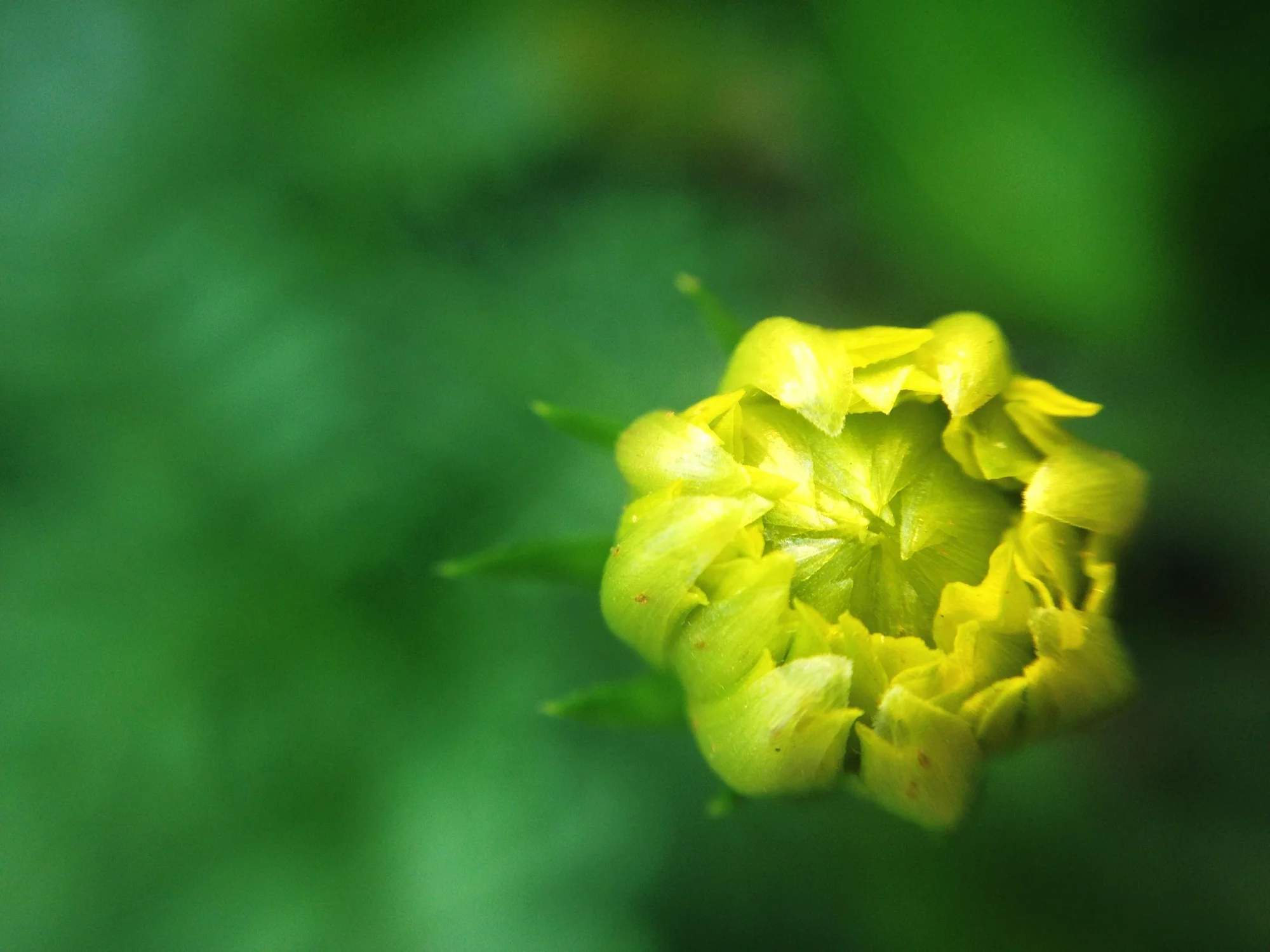 The politics of potential