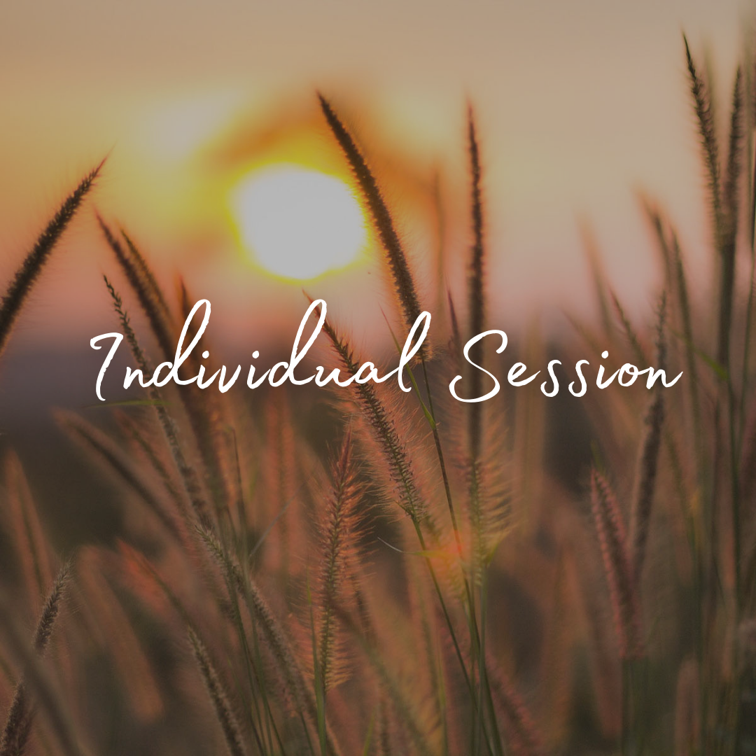 Individual Session — Mary Cenci