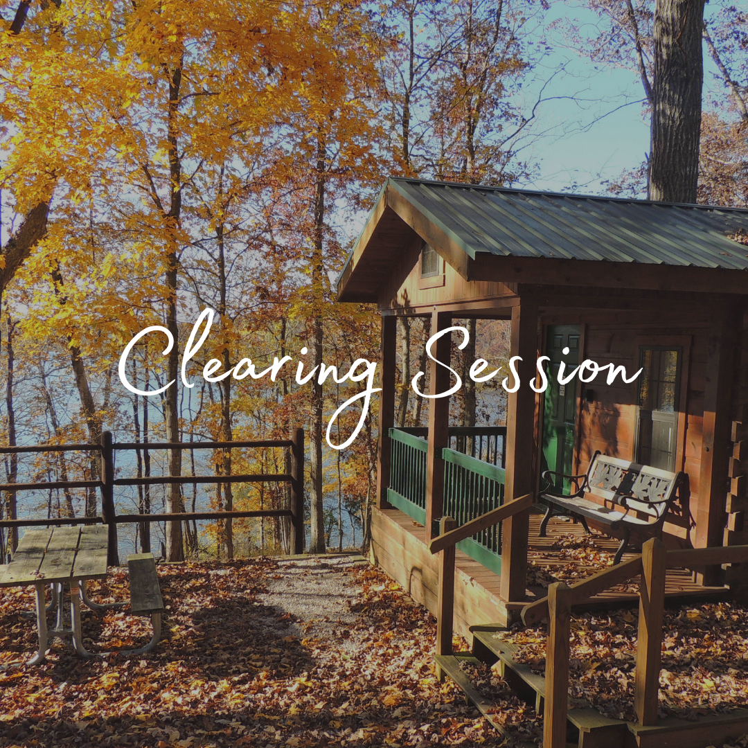 Personal, Home, Business and Land Clearing — Mary Cenci