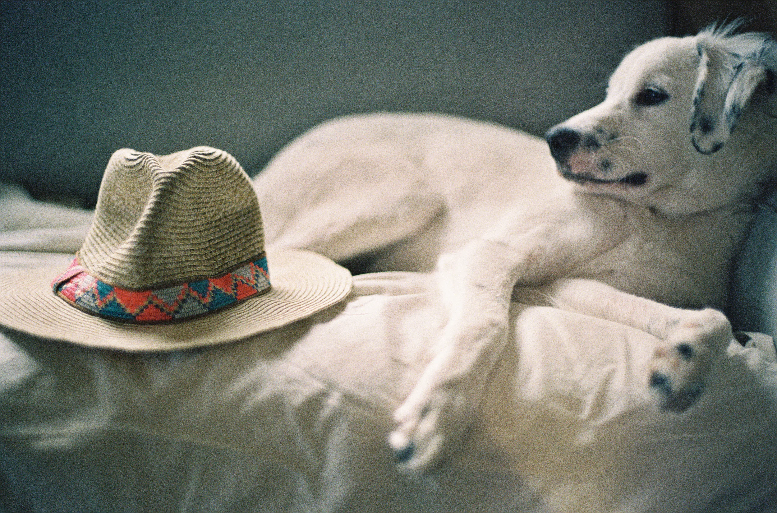 june-6.jpg
