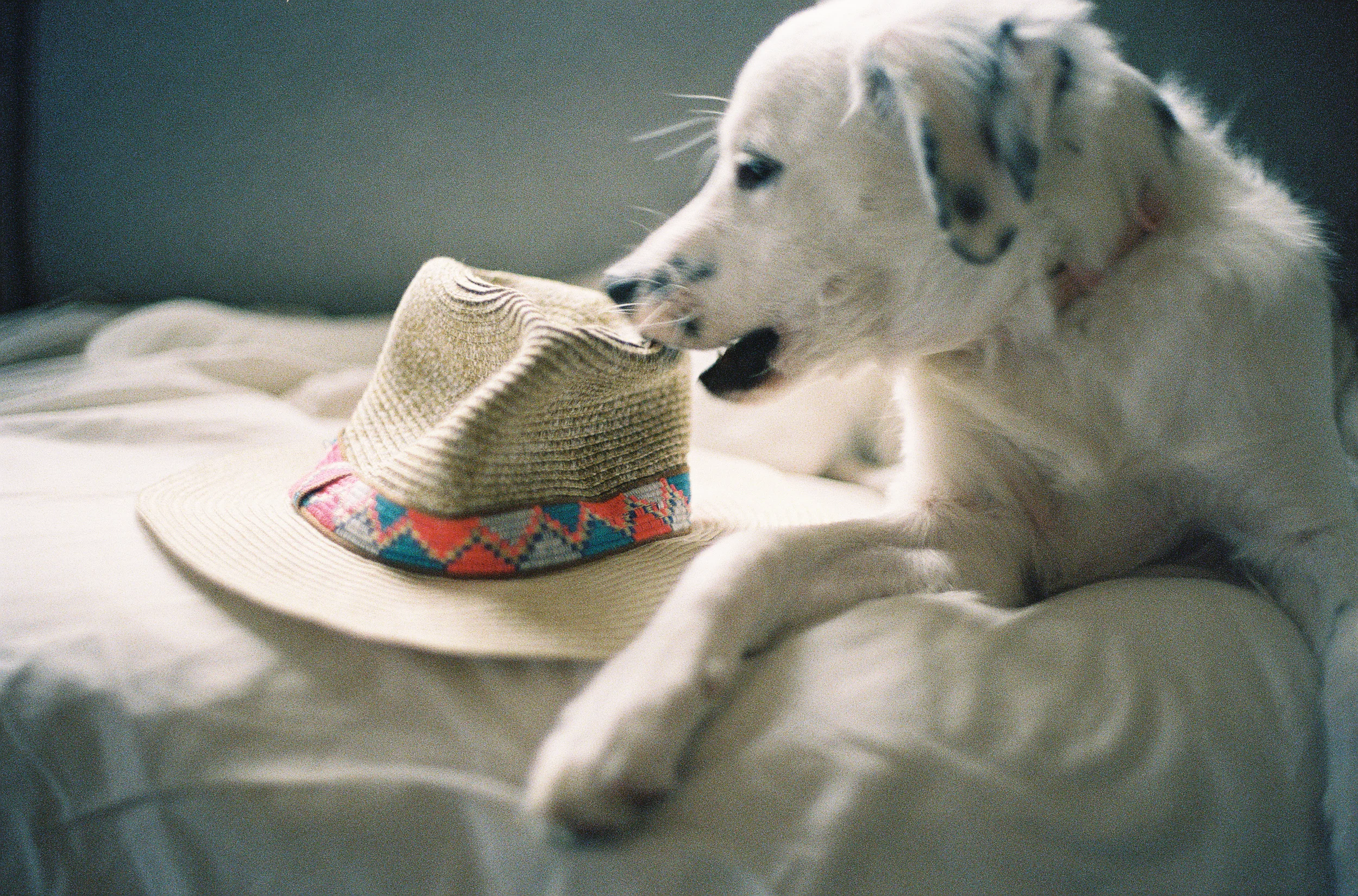 june-2.jpg