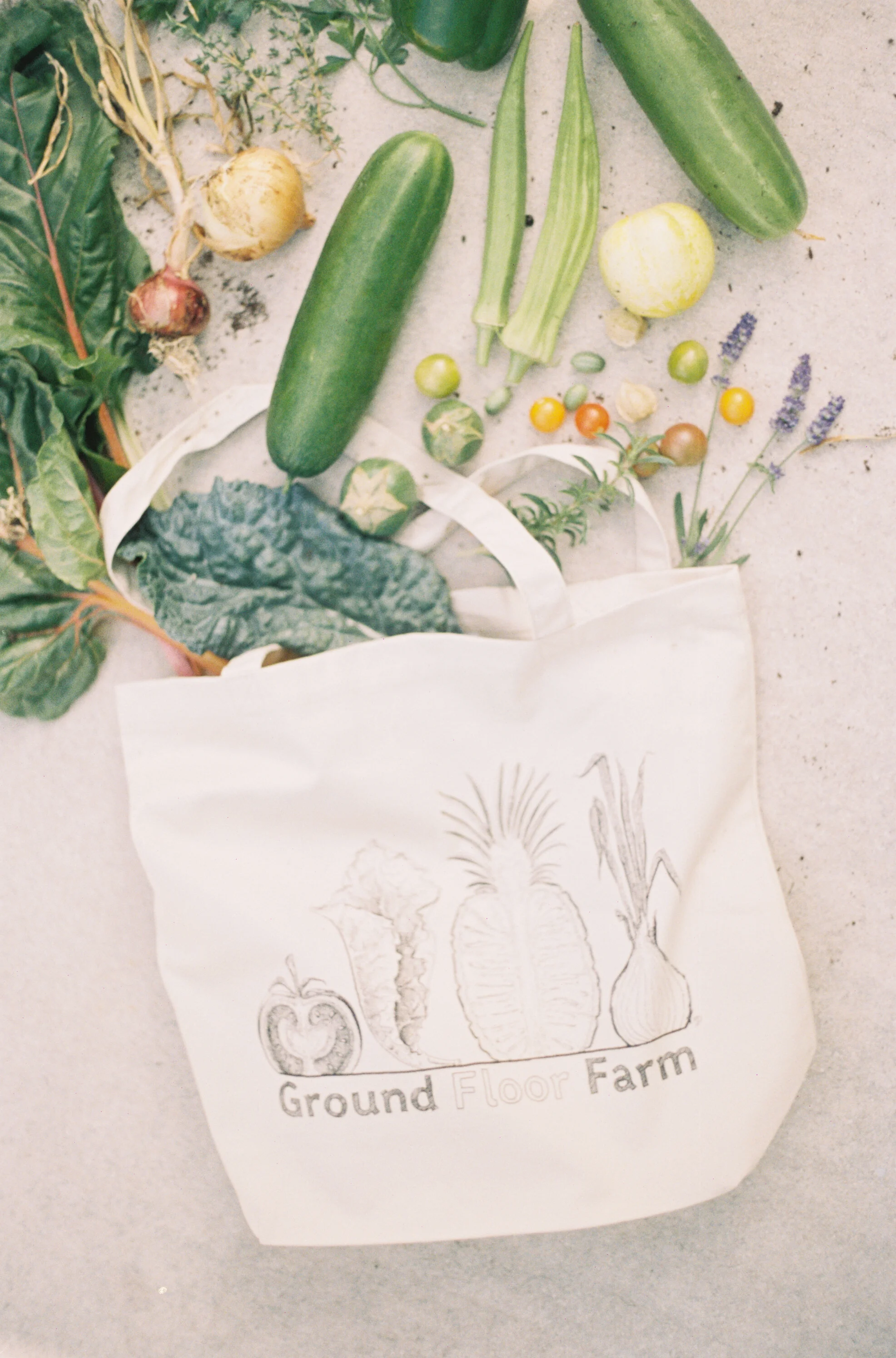 groundfloorfarm-52.jpg