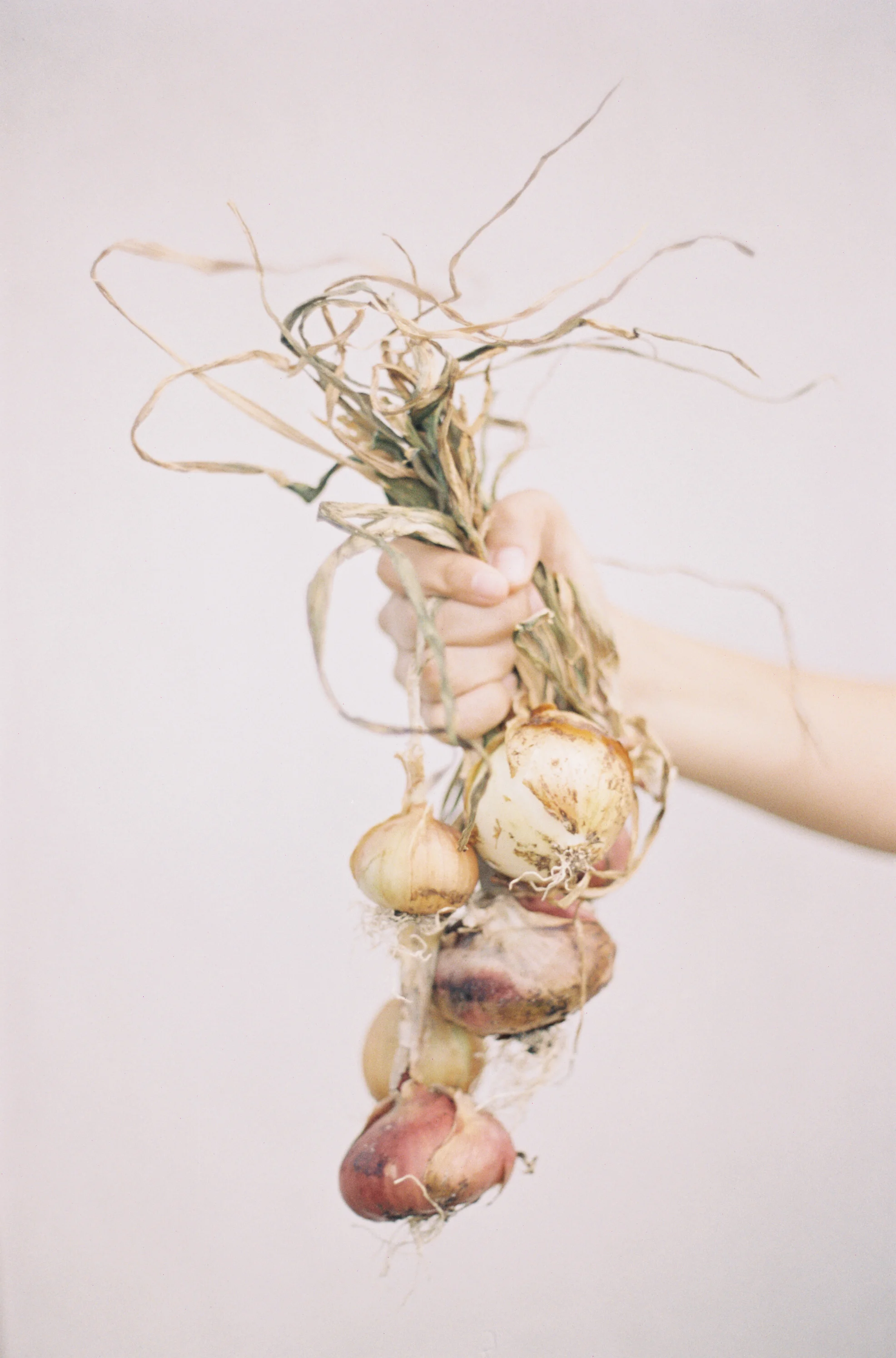 groundfloorfarm-38.jpg