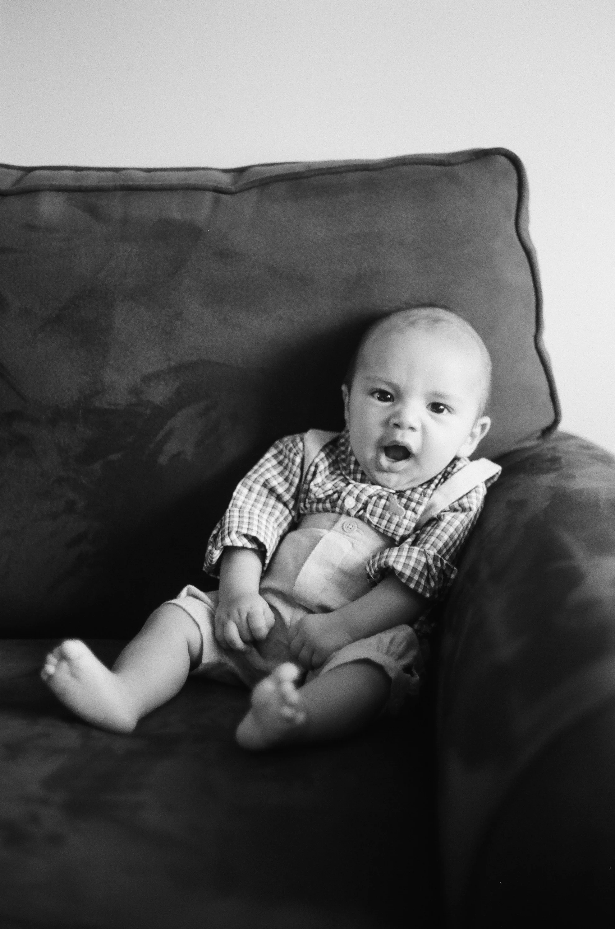 Toby-7.jpg