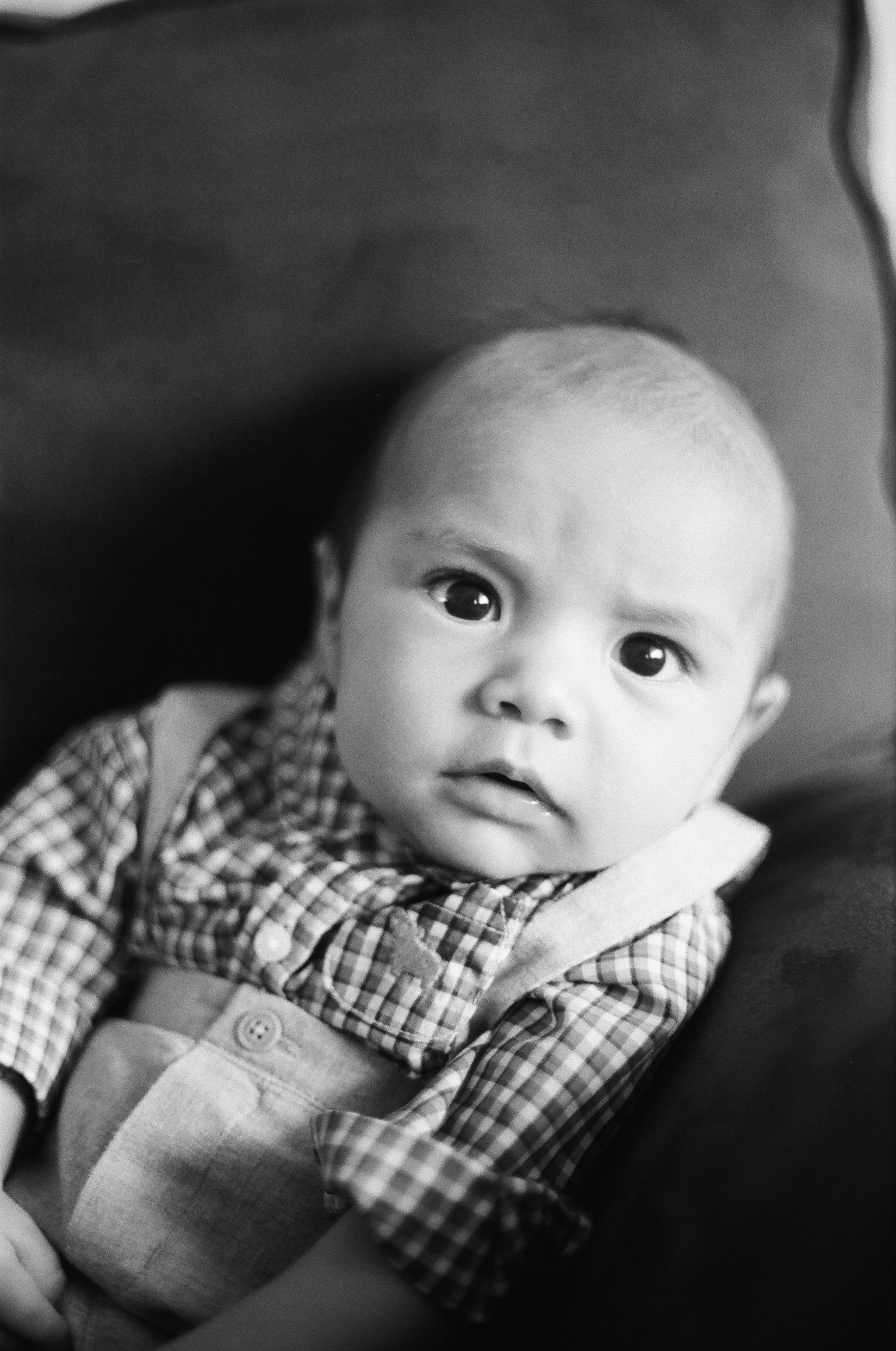 Toby-25.jpg