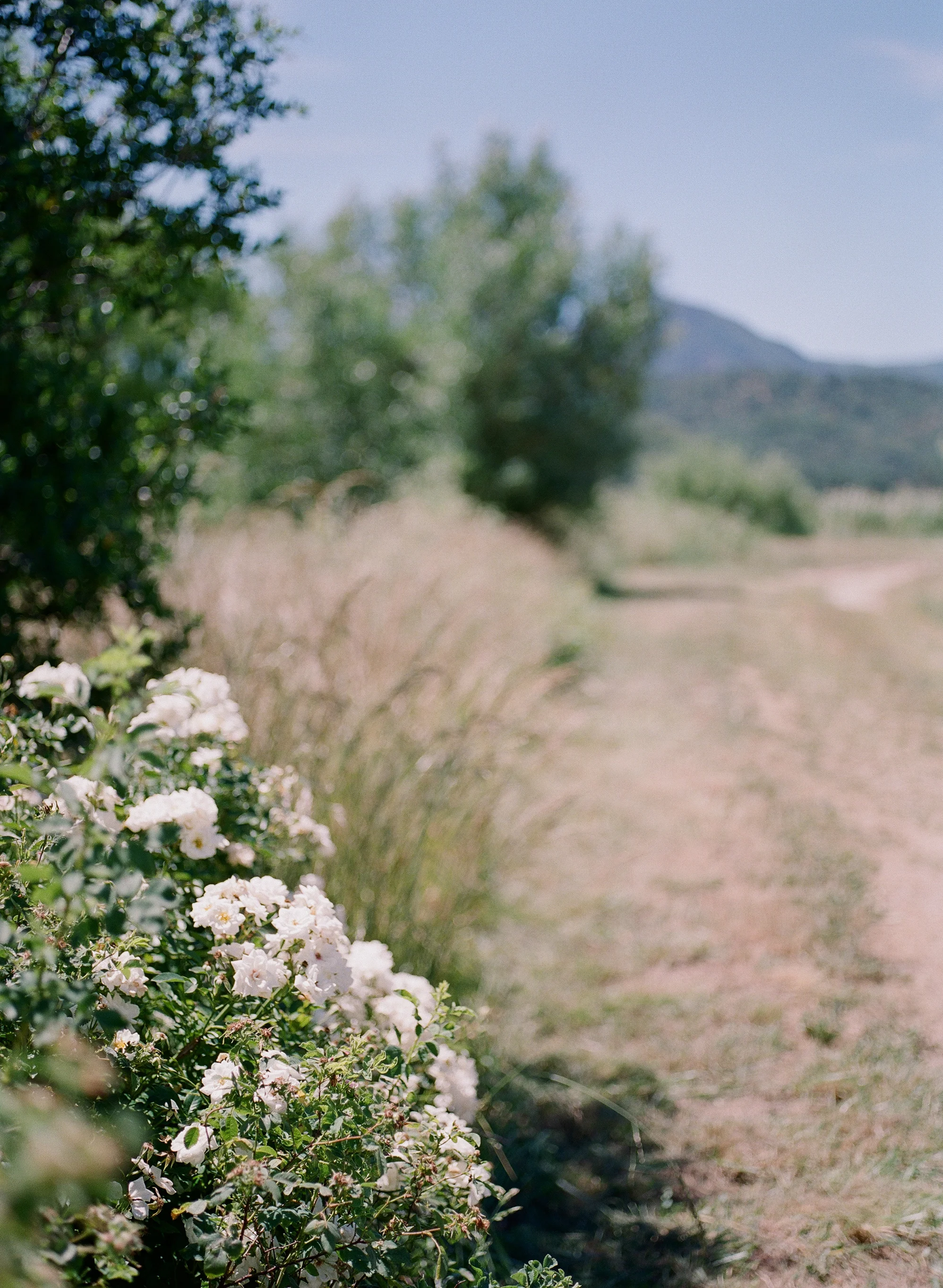thecoast-10.jpg