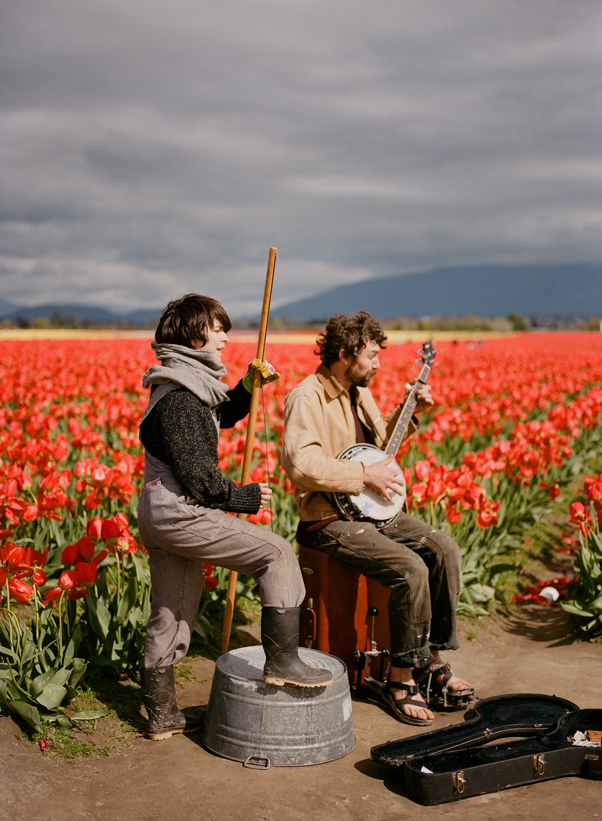 tulip-10.jpg