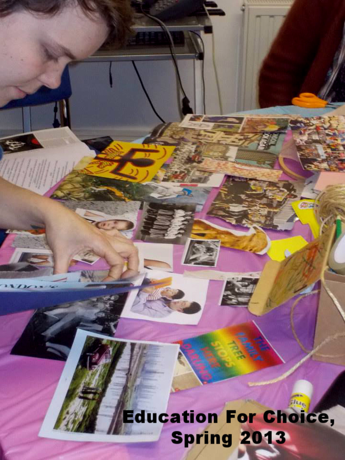 Education for Choice, Spring 2013 ACP Grantee