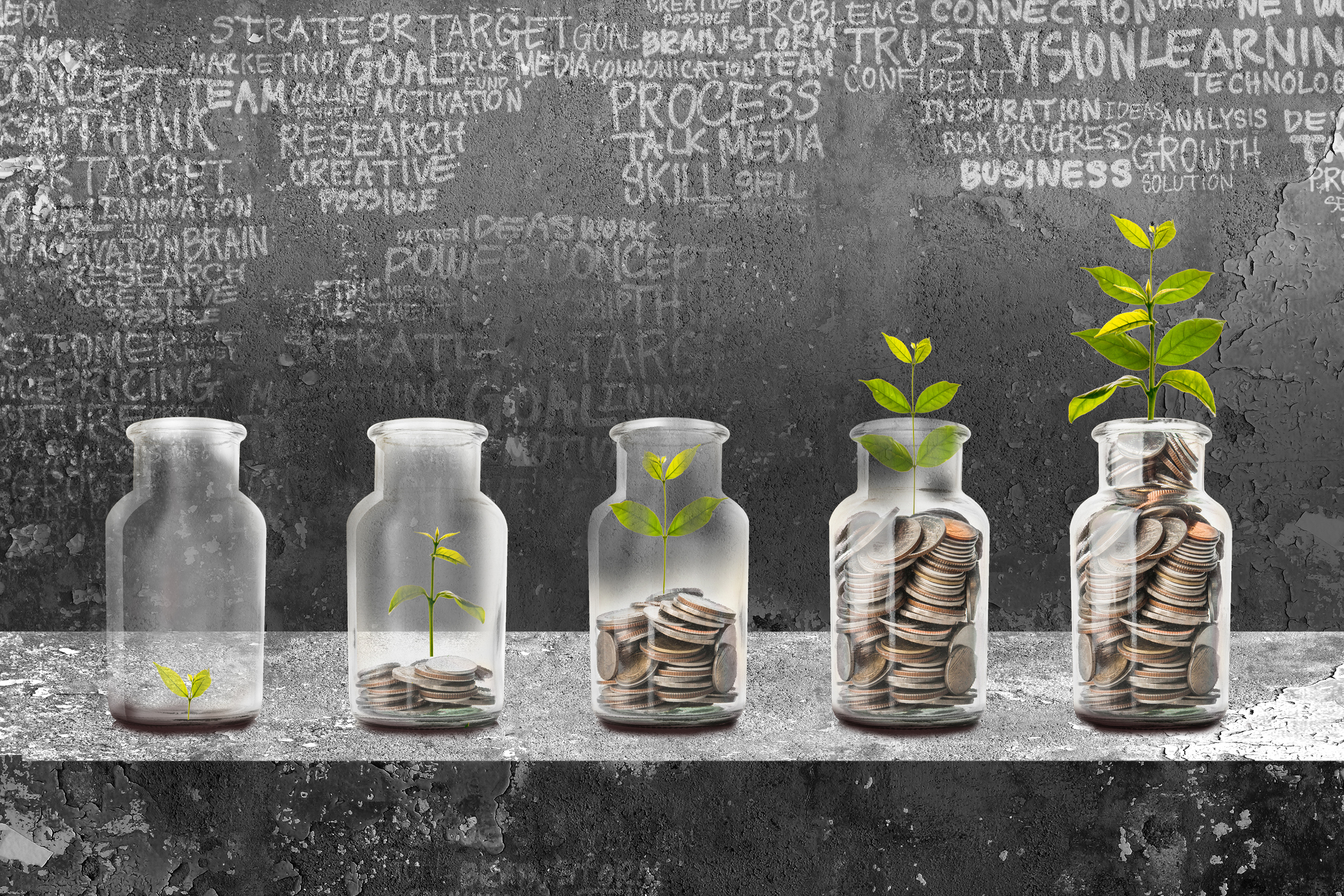Donor-Advised Fund: Investments that Change the World