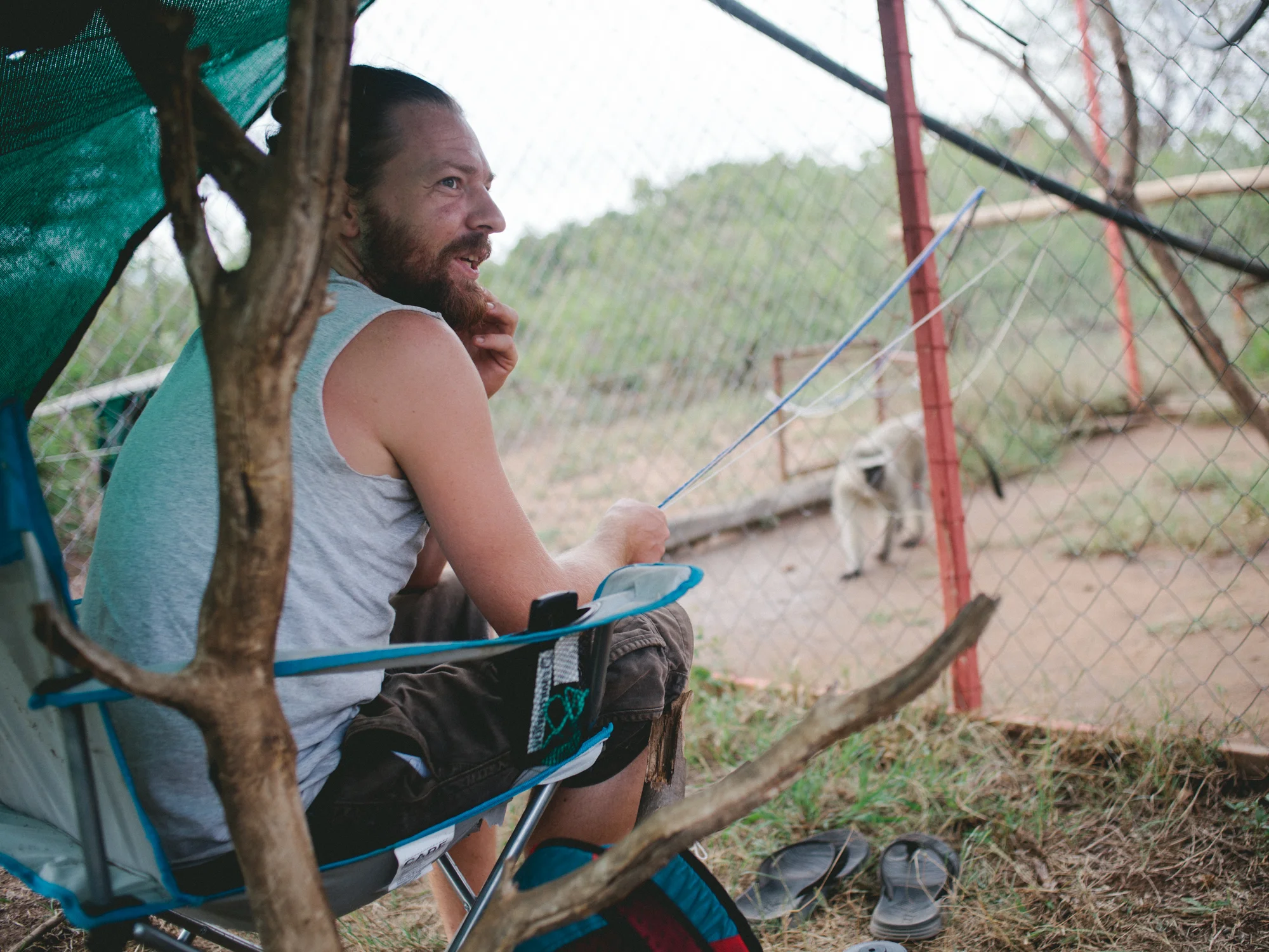 Integration staff member Mark manages the integration of a baby vervet into a troop by allowing certain monkeys into the baby's enclosure