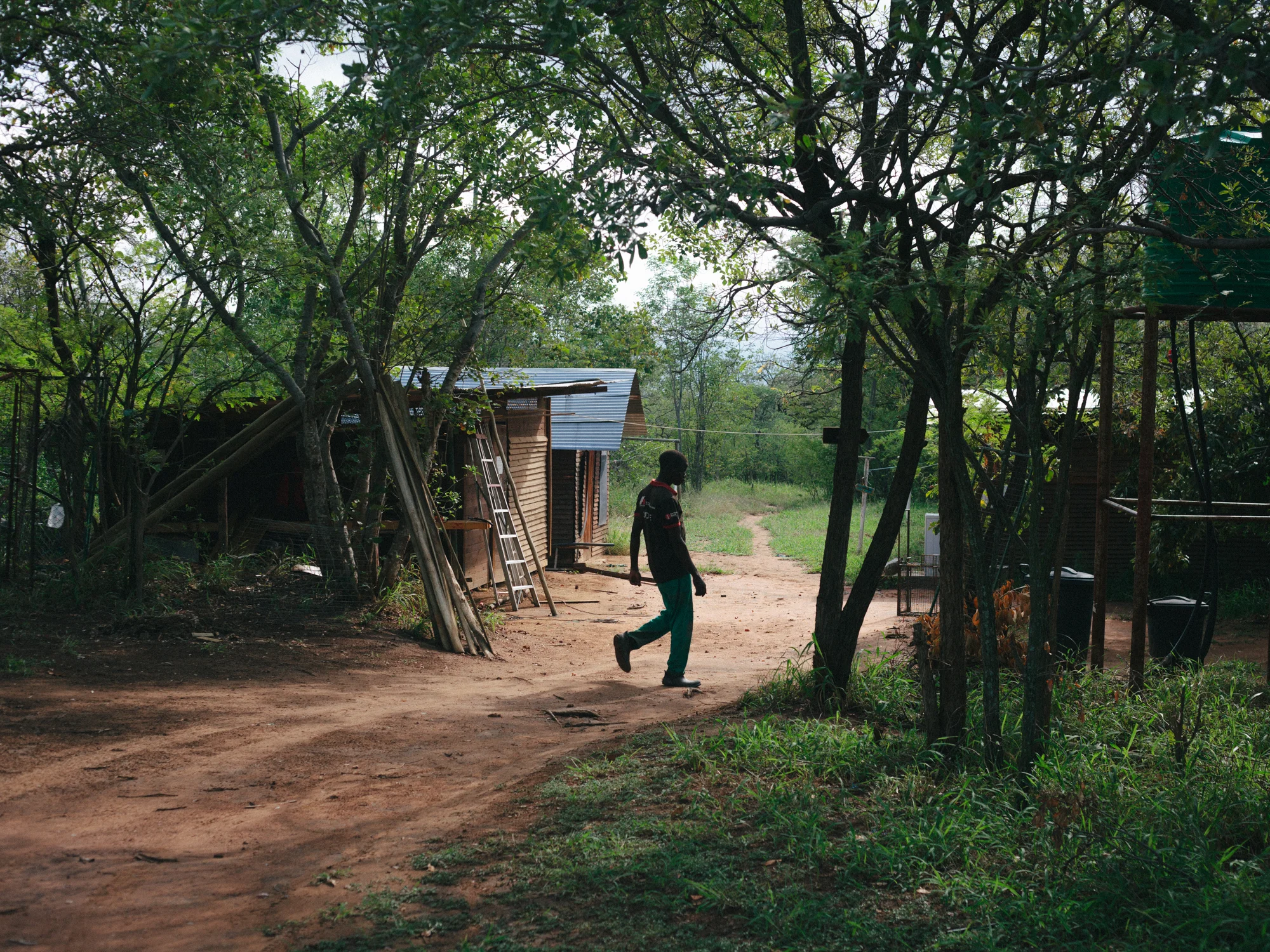 A worker heads toward the baby cabins