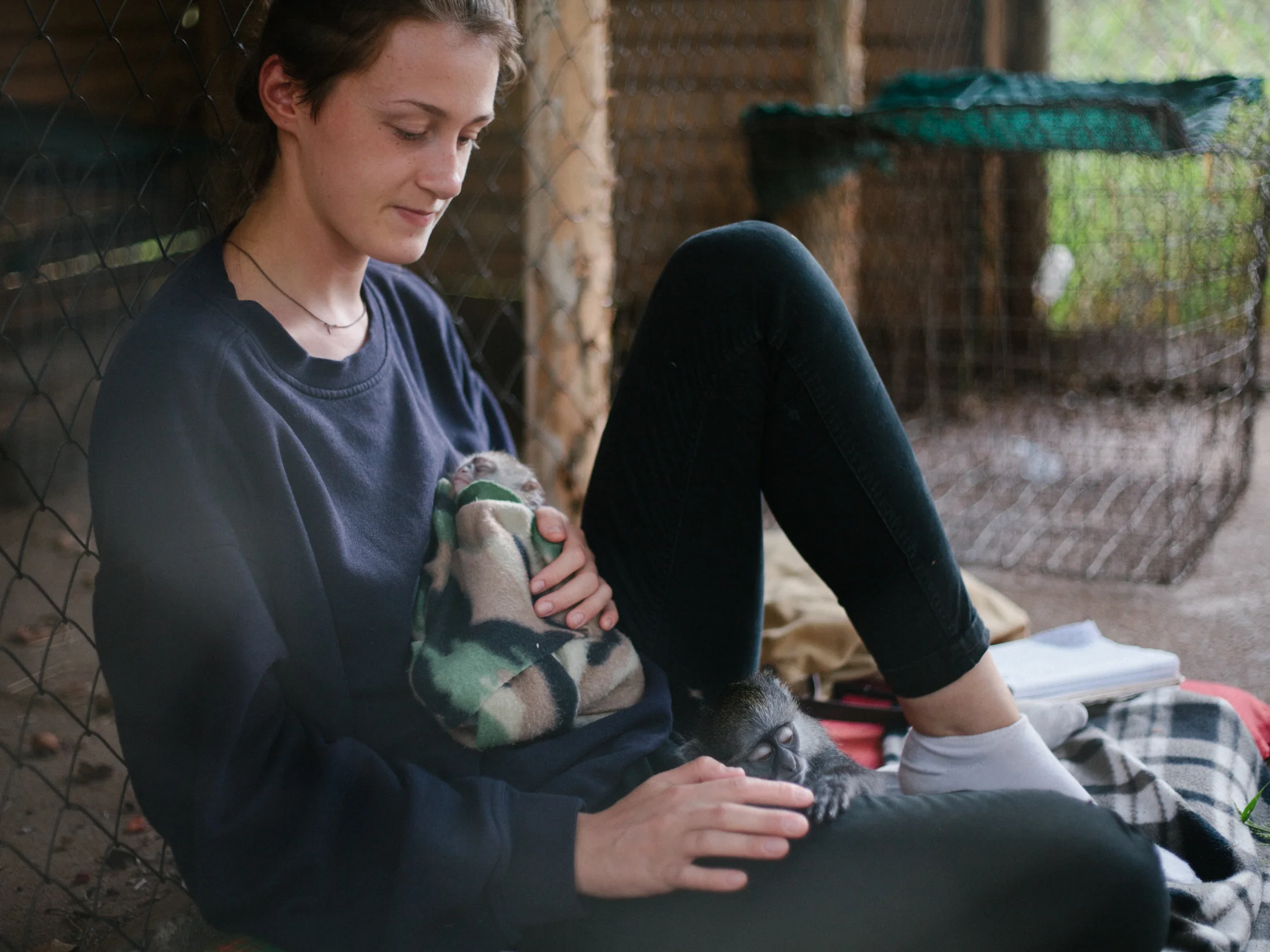 Lauren acts as a bed for a napping vervet and baby samango. 