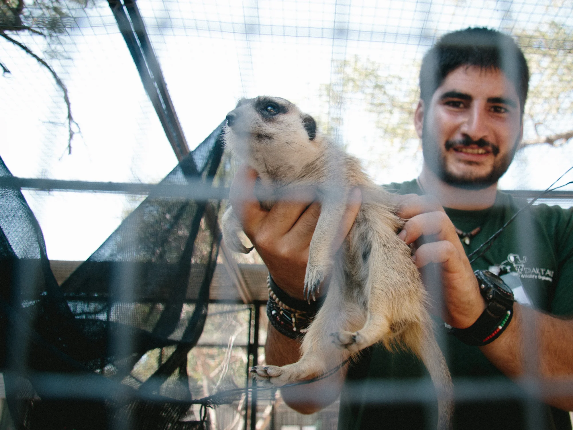 A volunteer shows off one of Daktari's many rescued meerkats