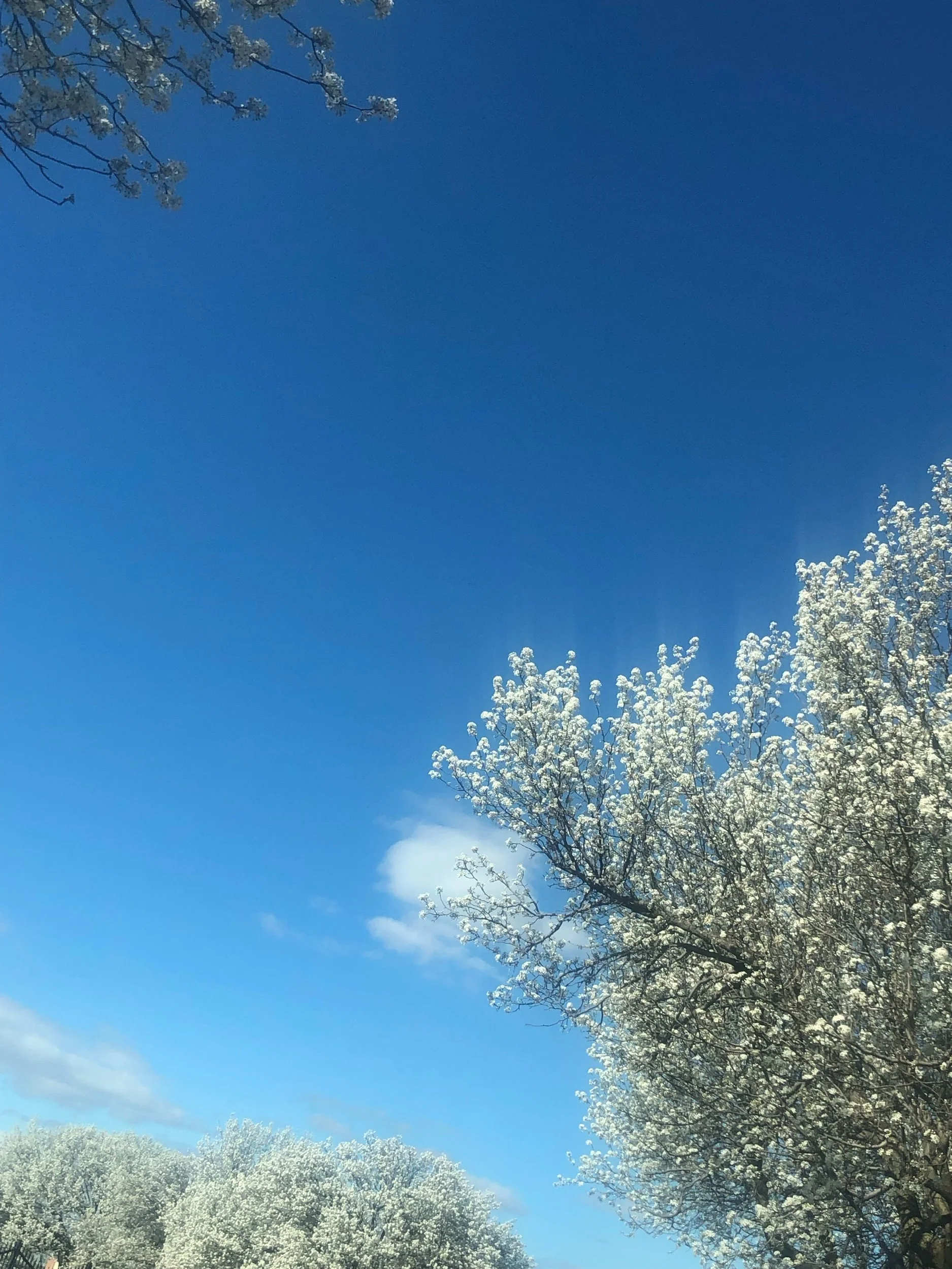 Winter Changes Into Spring