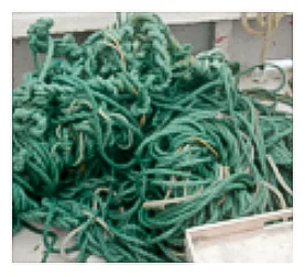 Entanglements