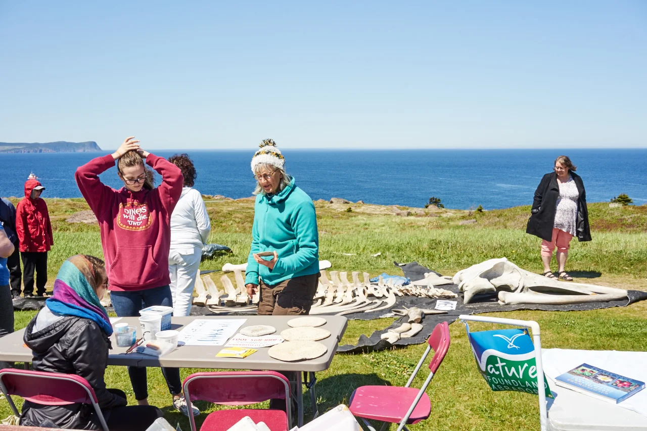 whale2016016.jpg