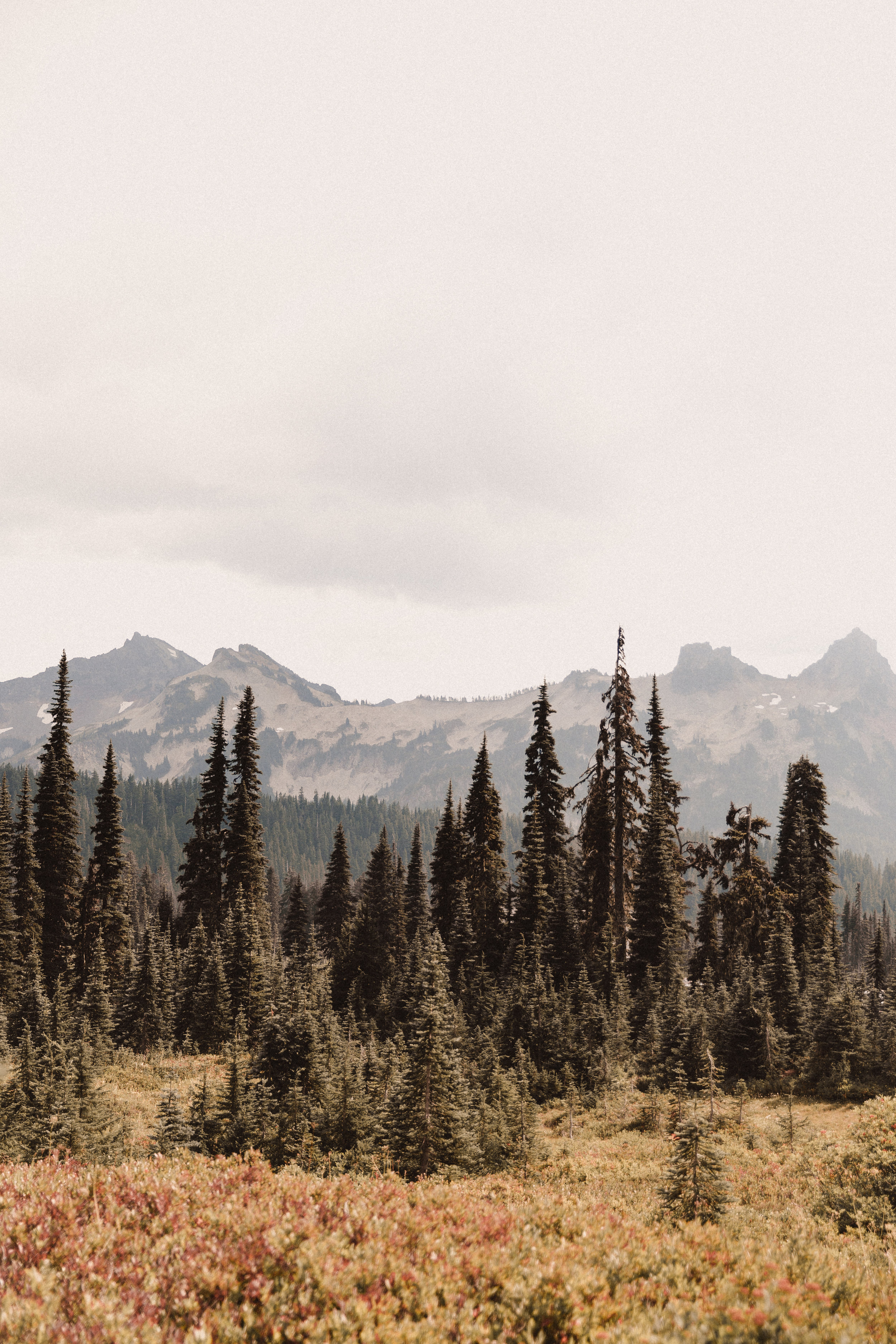 traveltacoma-15.jpg