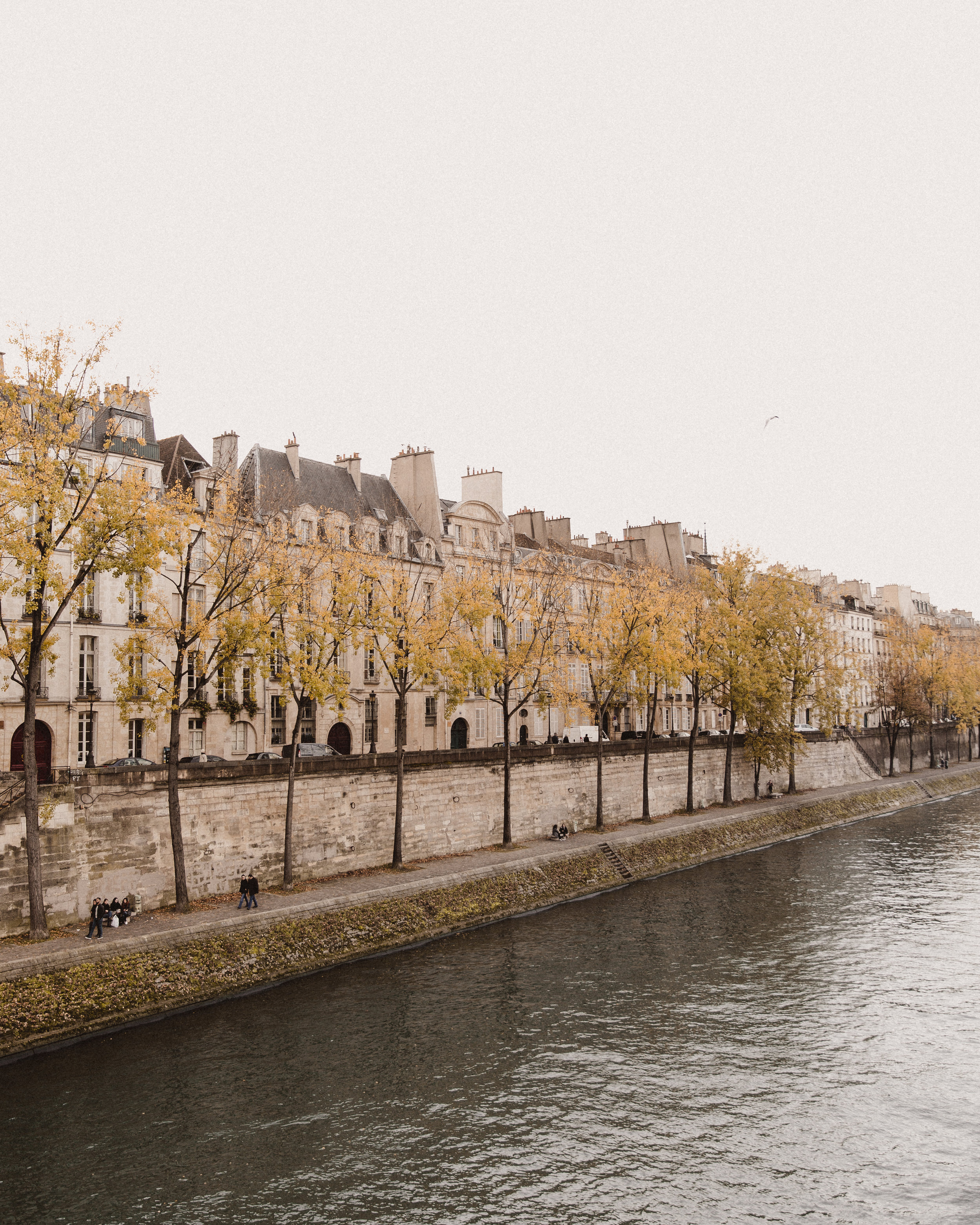 paris-15 2.jpg