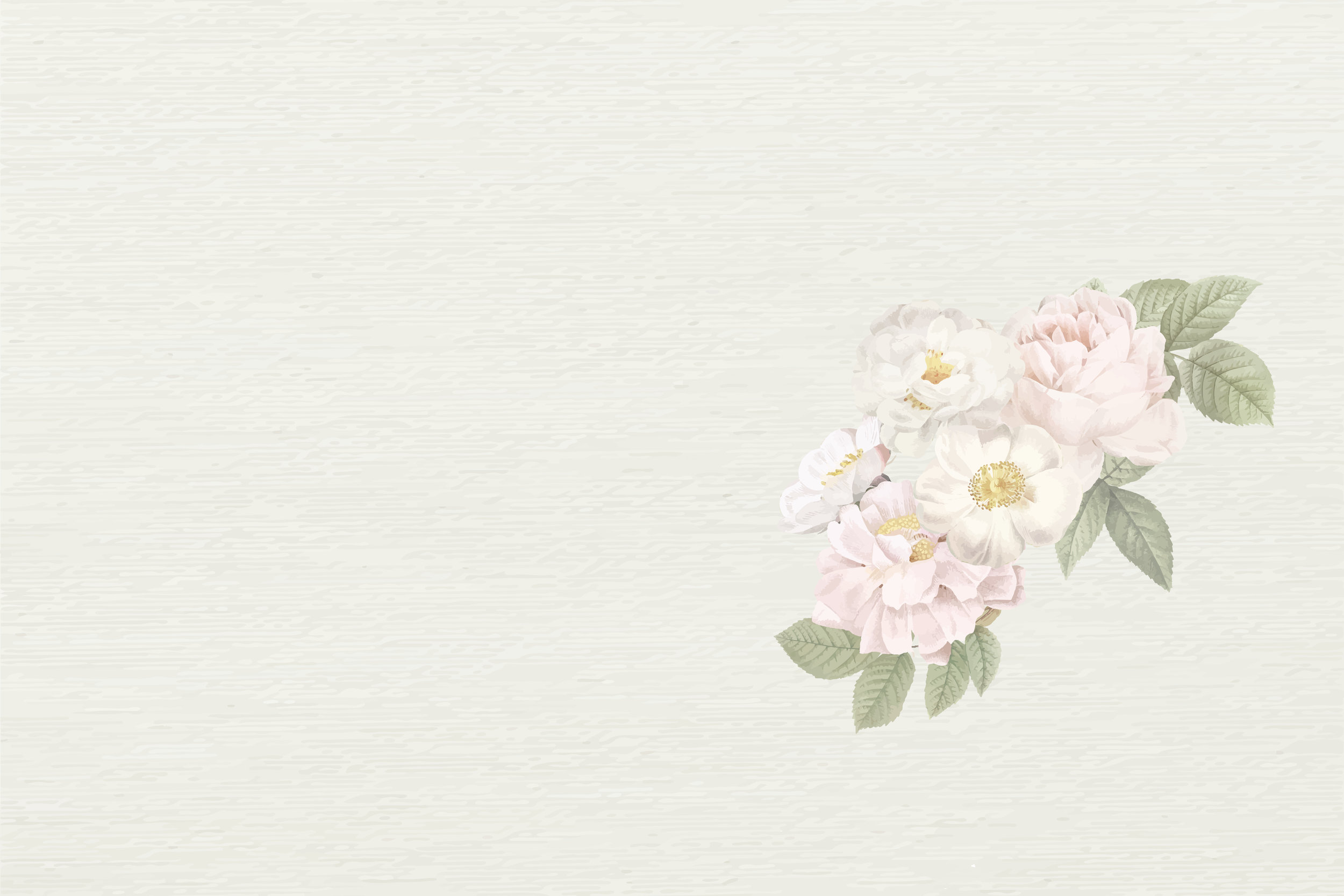 Women of Cedar - Rose Background.jpg