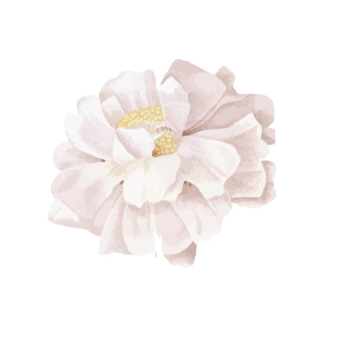 Women of Cedar - Pink Rose 5.png