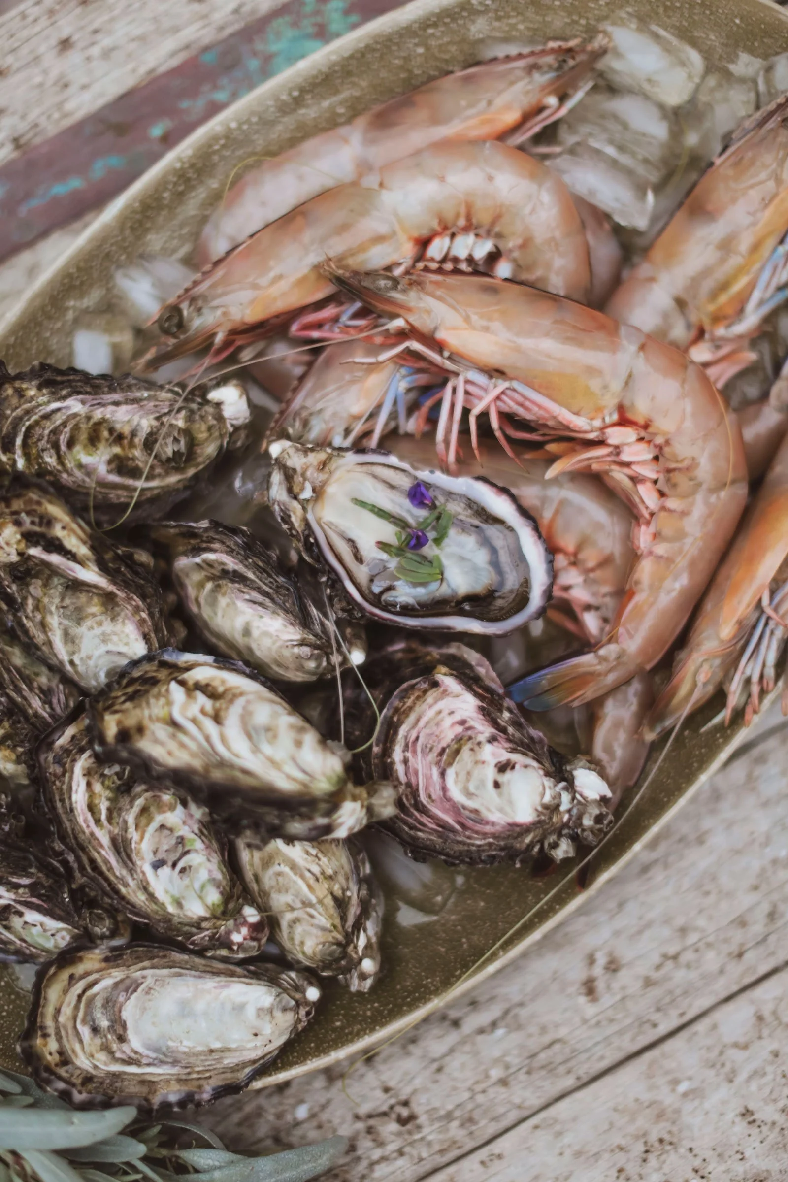 Fresh oysters, shrimp, and other seafood on ice in a metal tray