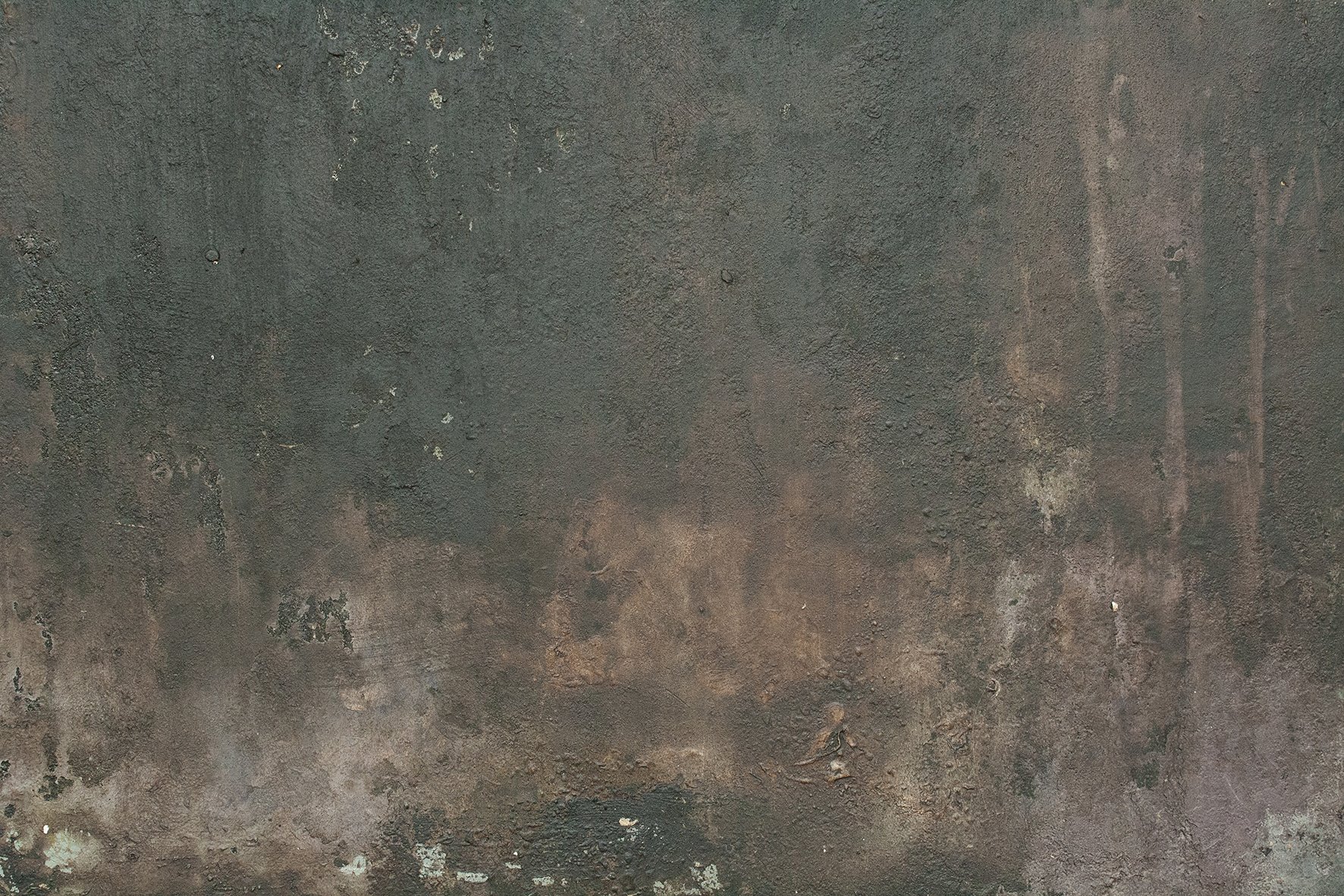 Detail of Study II