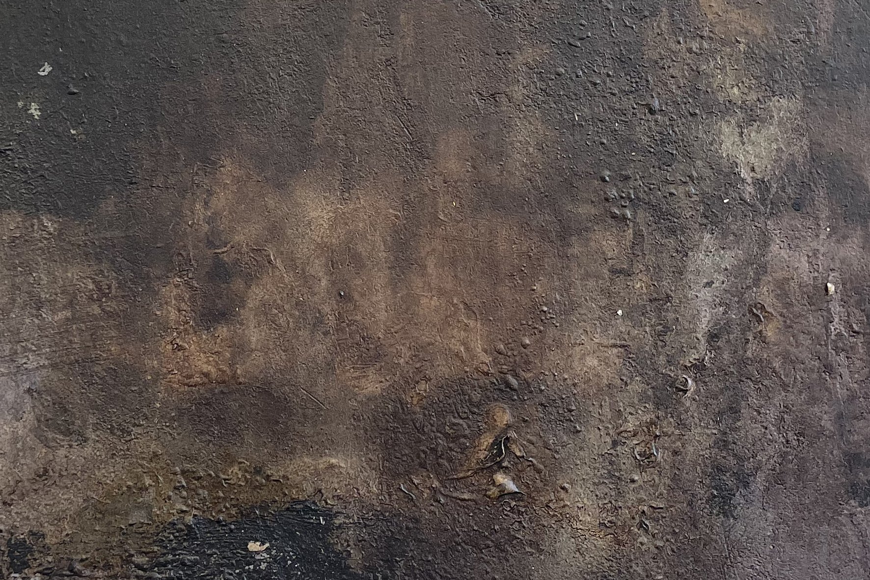 KaraBurrowes-painting-burnt-texture-detail-LR.jpg