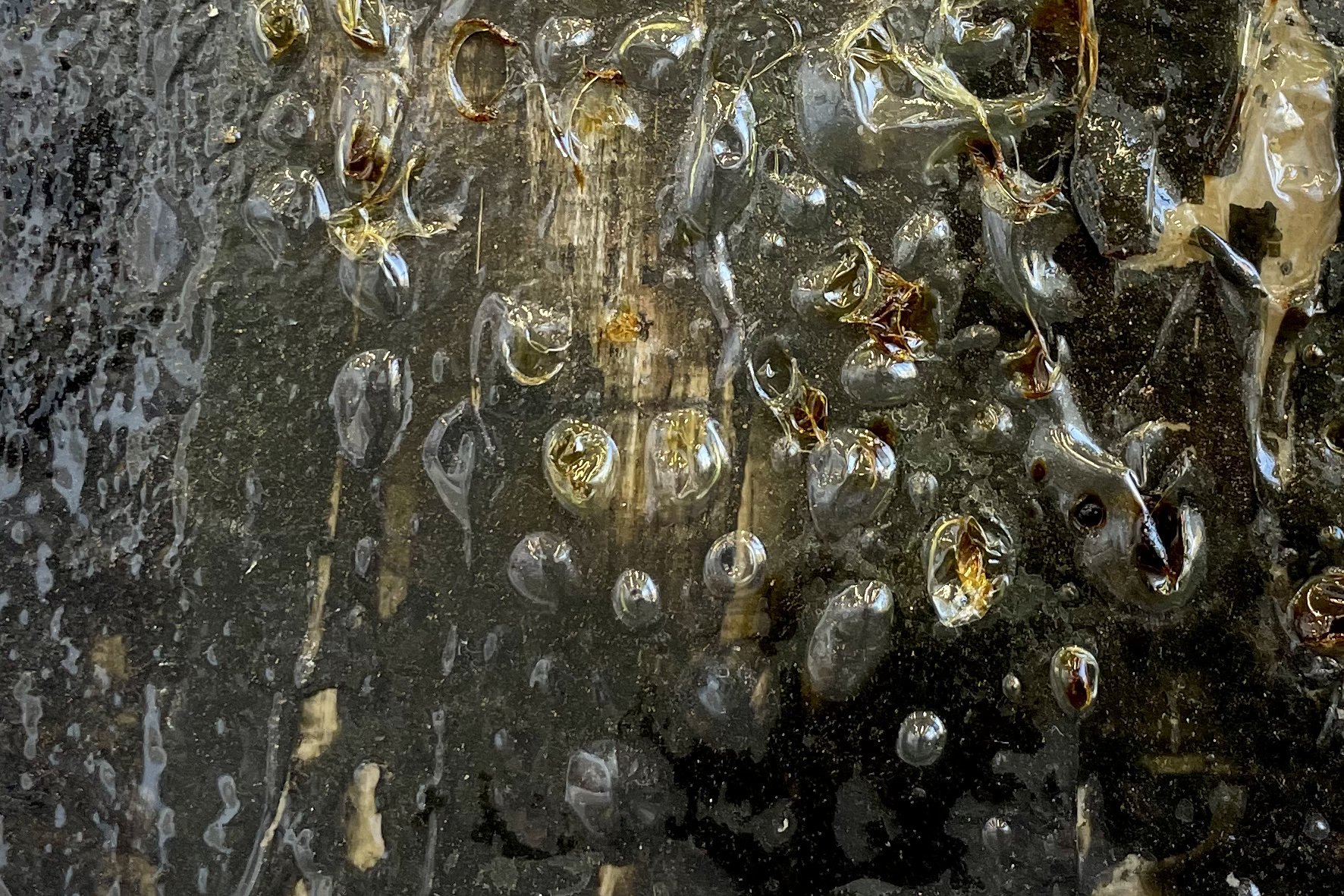 KaraBurrowes-painting-pvc-burnt-bubbles-detail-LR.jpg