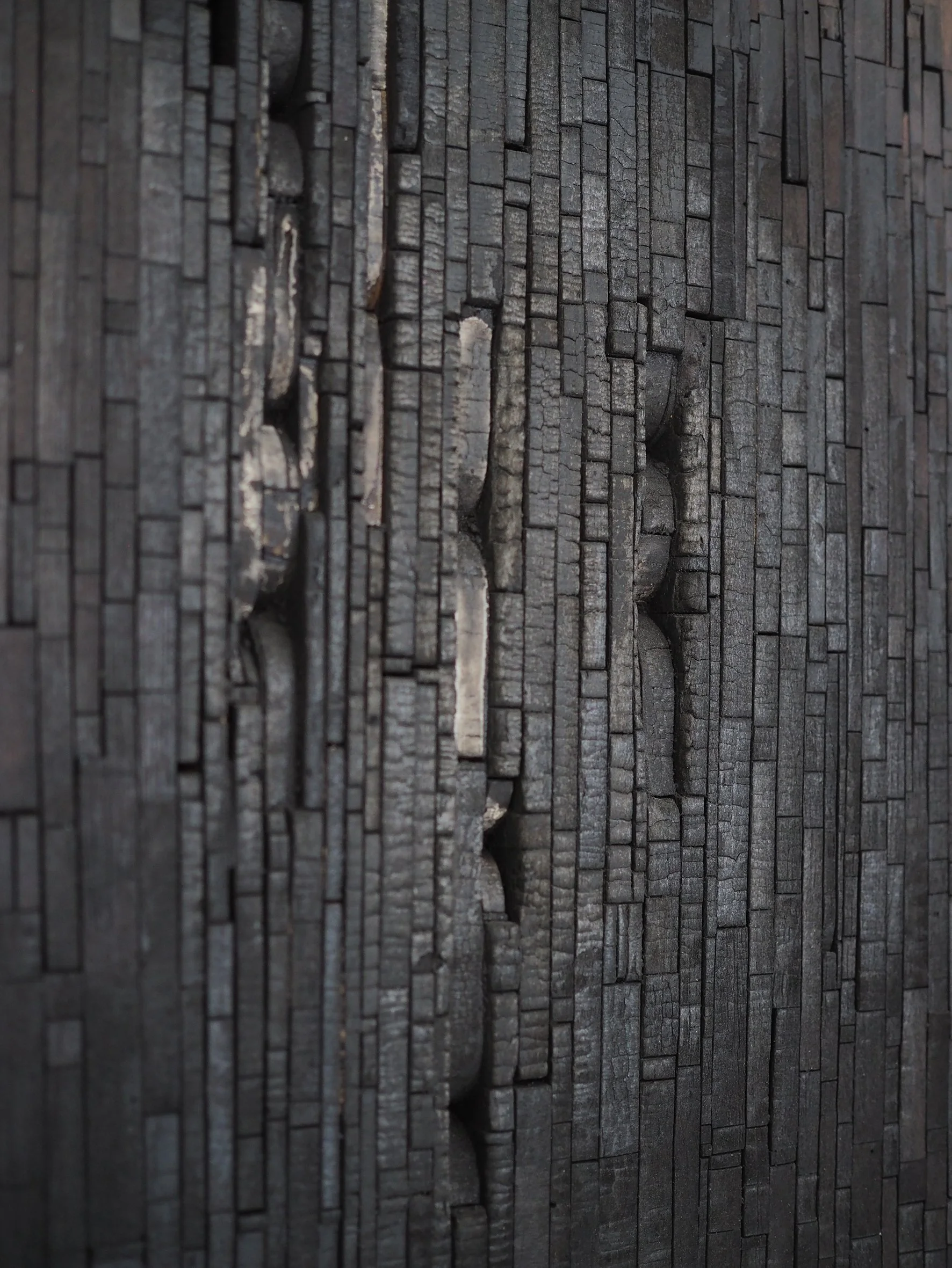 PublicRecord_2026_KaraBurrowes_ForeverCharred_detail2_small.jpg