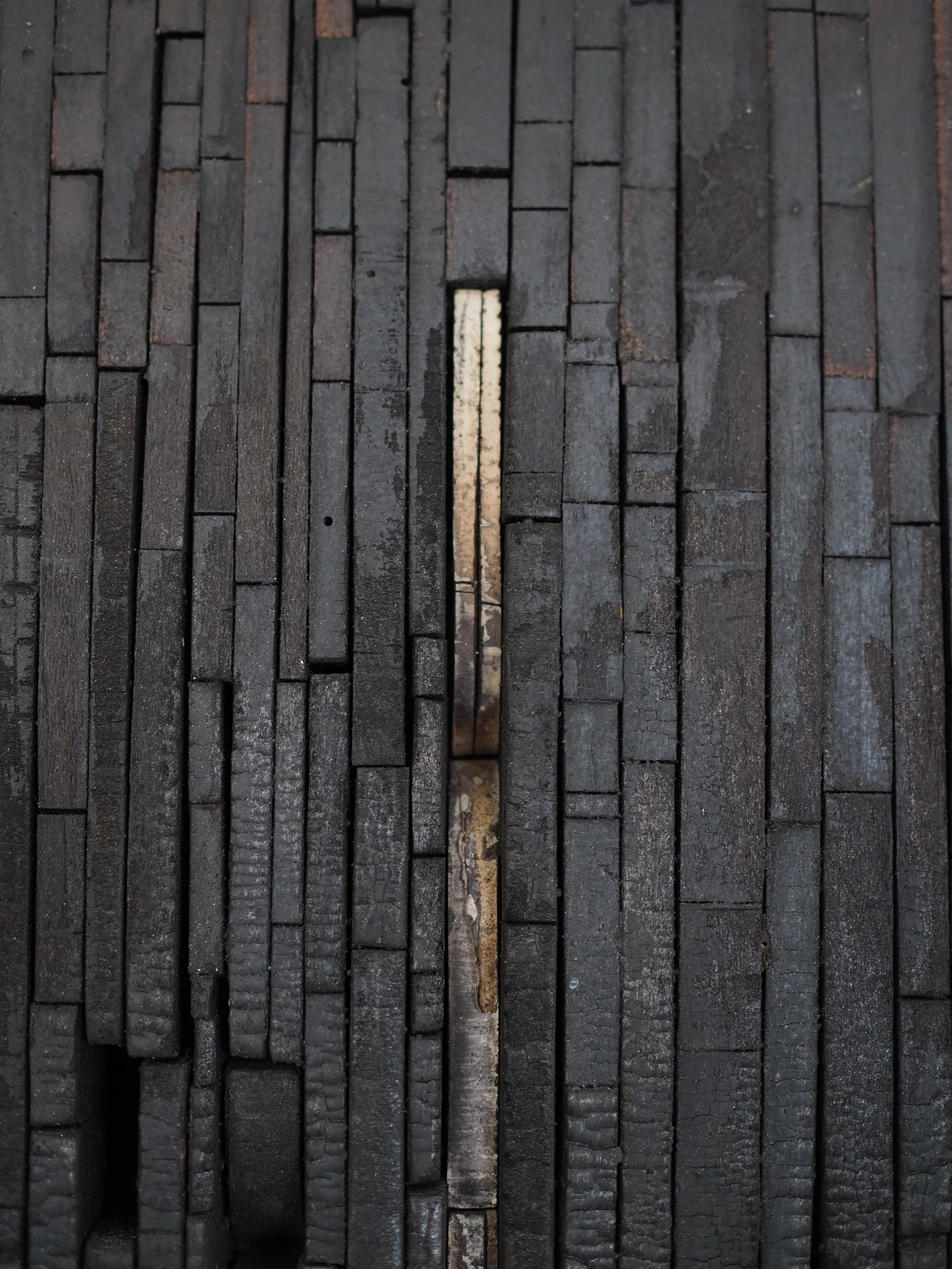 PublicRecord_2026_KaraBurrowes_ForeverCharred_detail_small.jpg