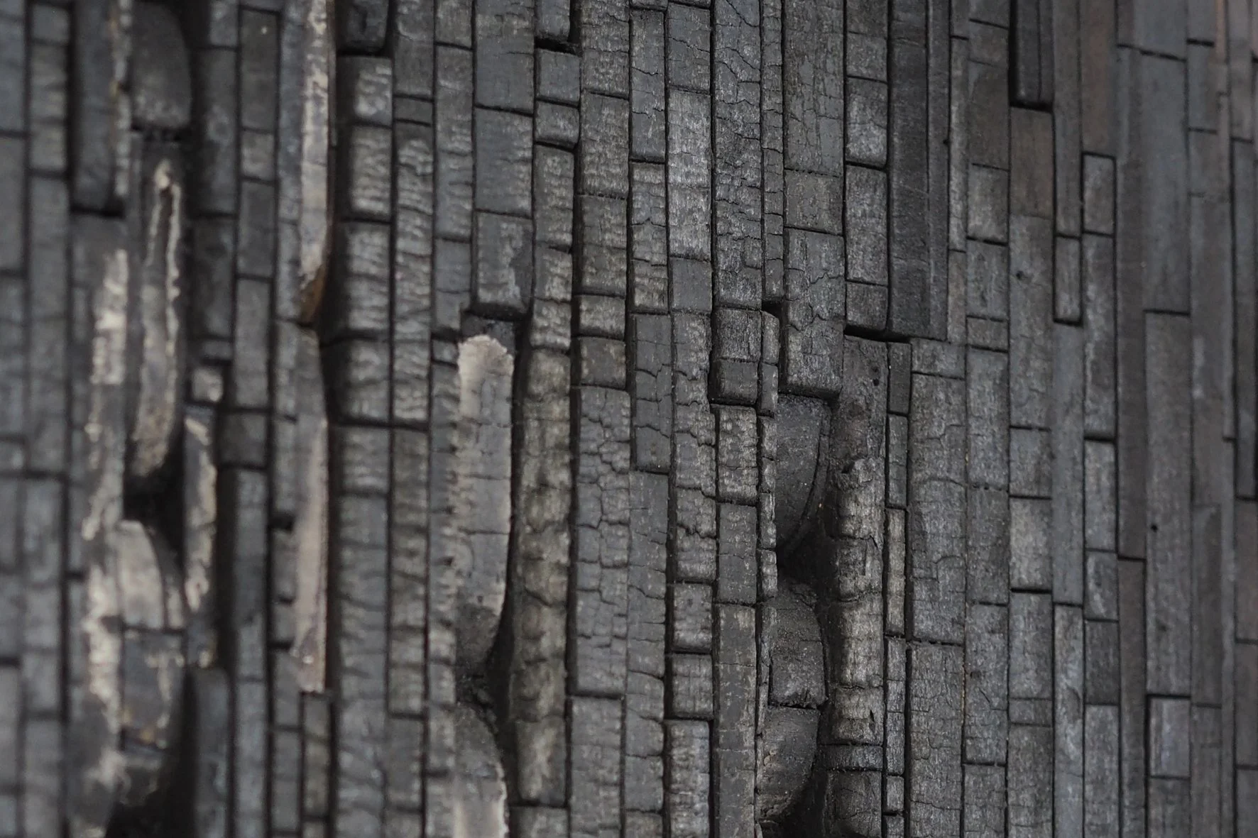 KaraBurrowes-ForeverCharred-detail4-LR.jpg