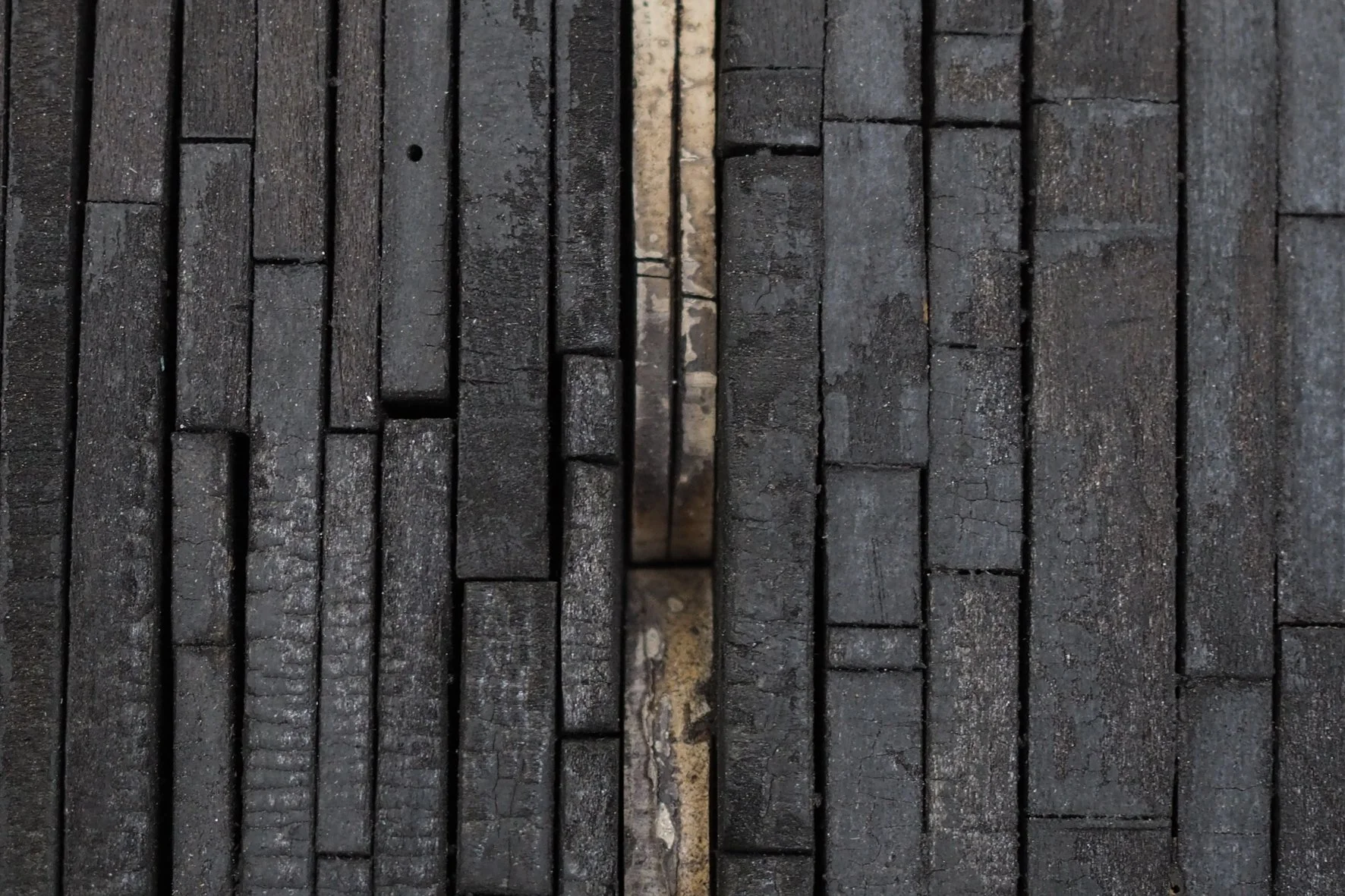 KaraBurrowes-ForeverCharred-detail5-LR.jpg
