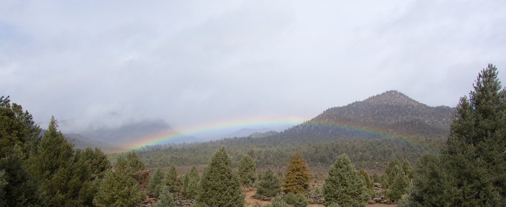 KM Rainbow banner 002.jpg