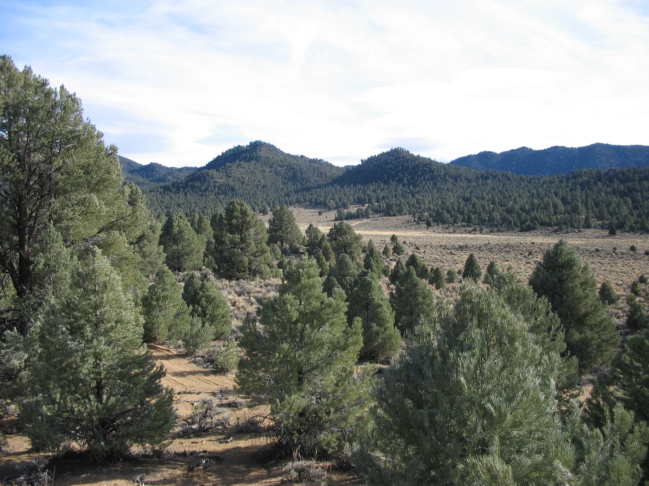 Looking Northwest over Sacatar Meadow