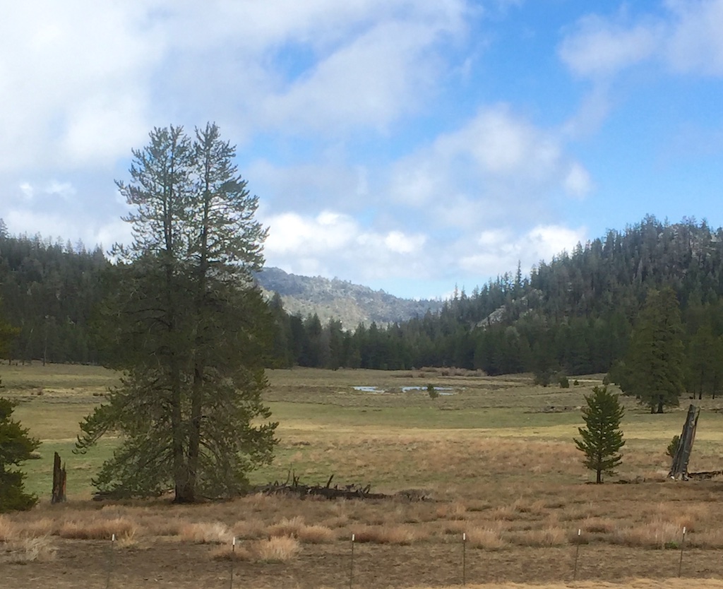 Near Troy Meadows (photo: Brice Jury)