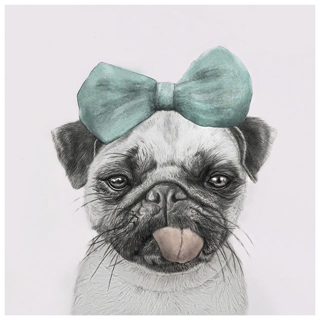 Lenita Pepa Sketchbook - Cheeky Pug.jpg